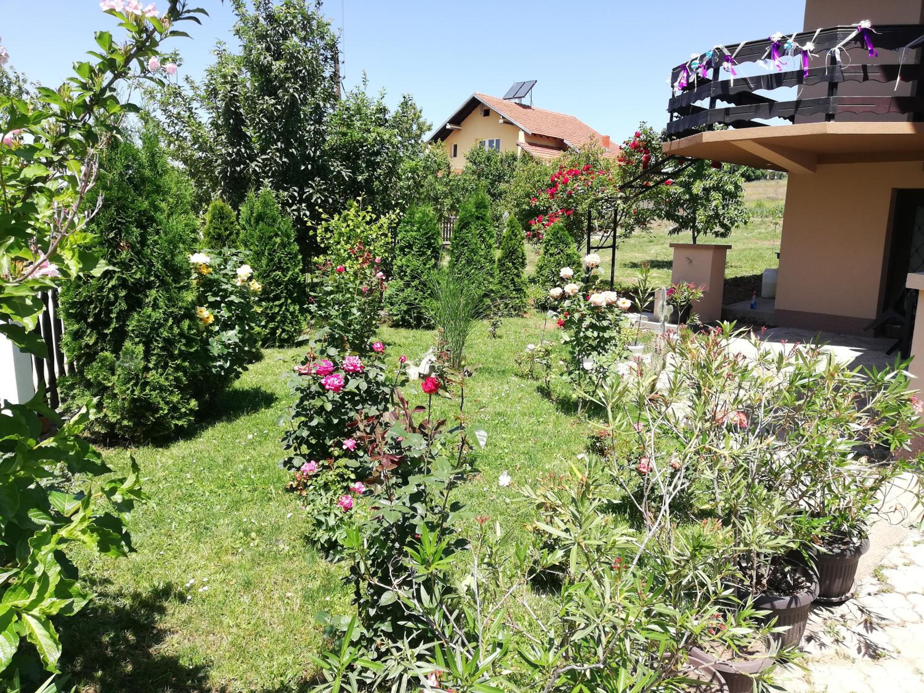 Photo 19