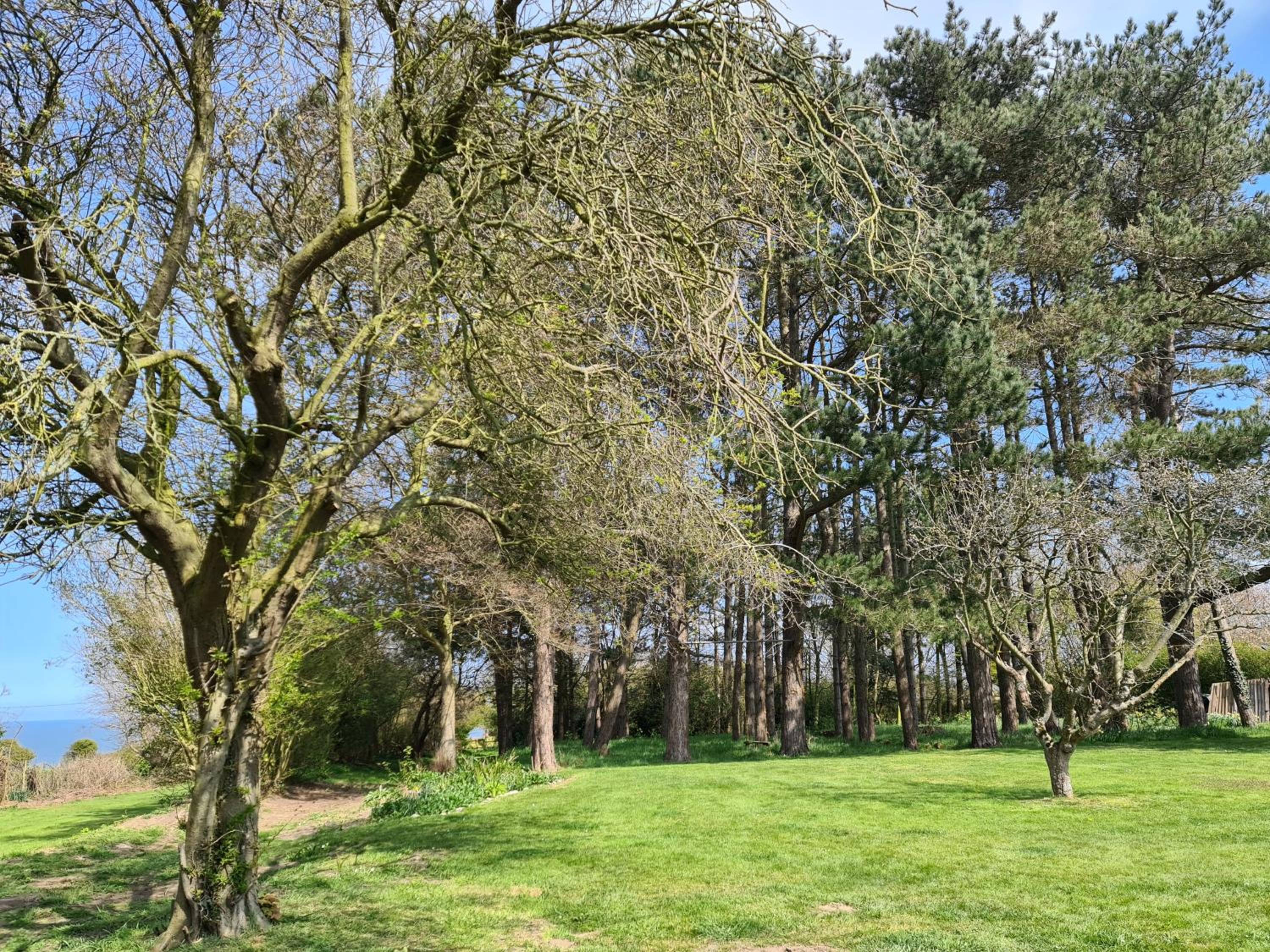 Photo 17