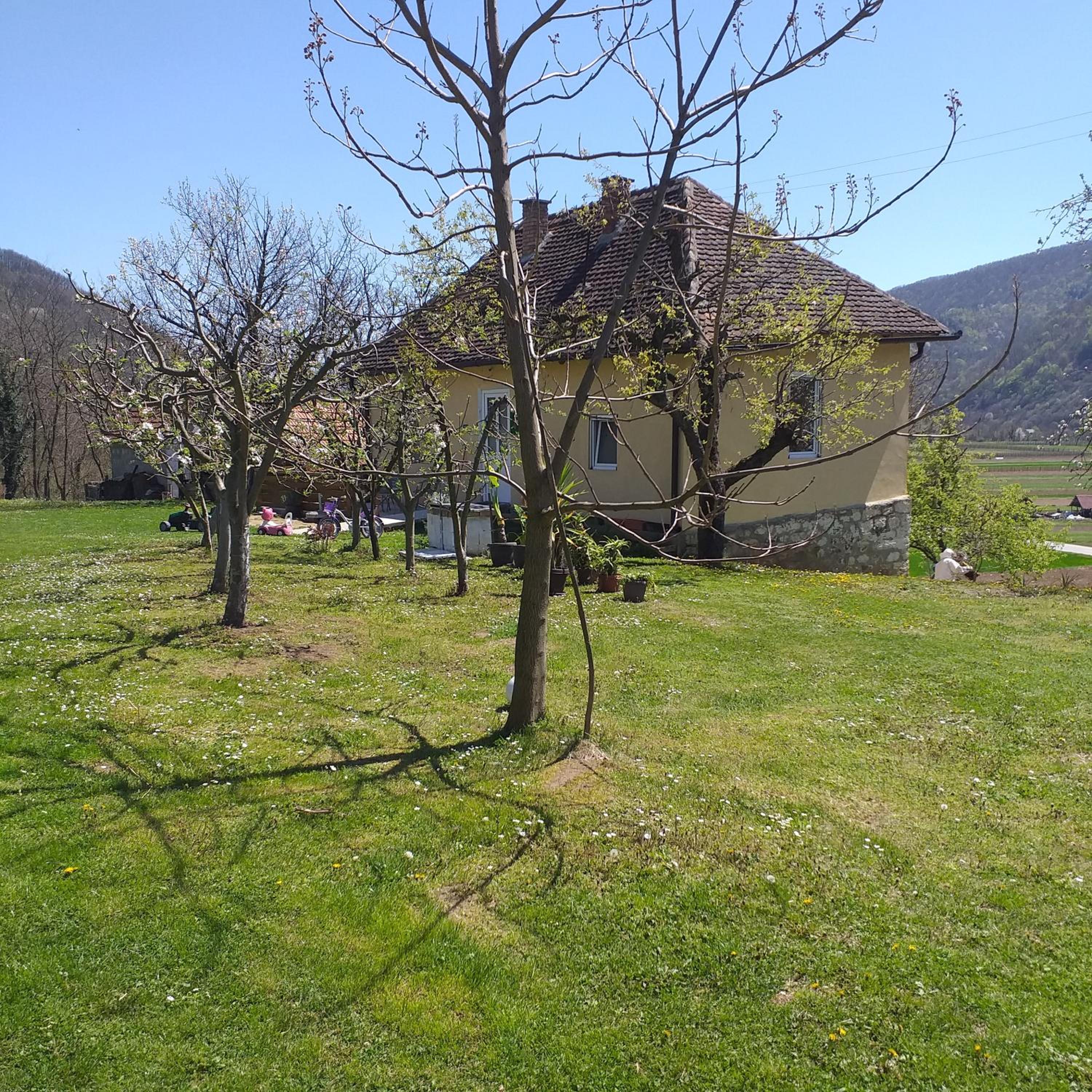 Photo 36