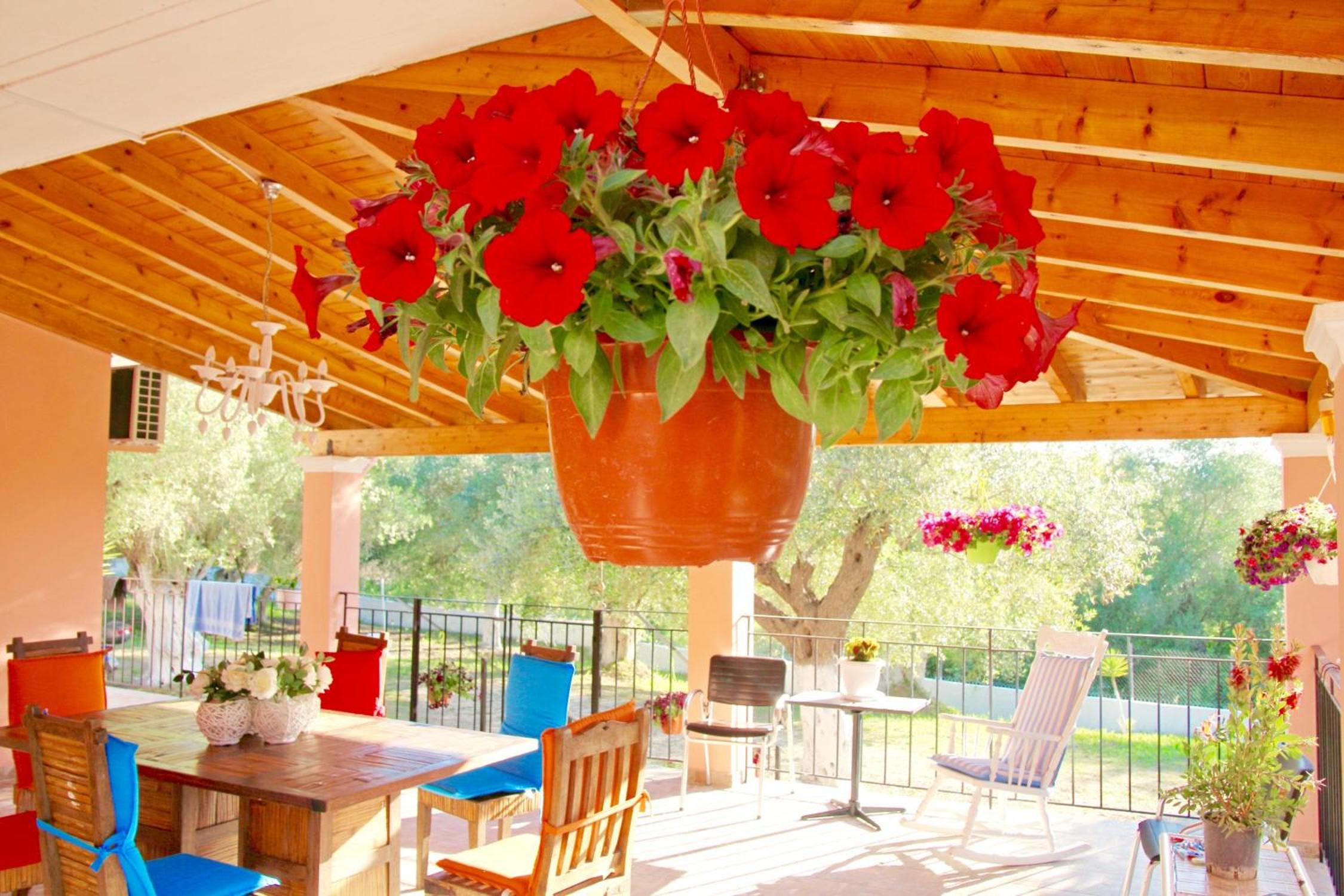 Villazia Exclusive Estate