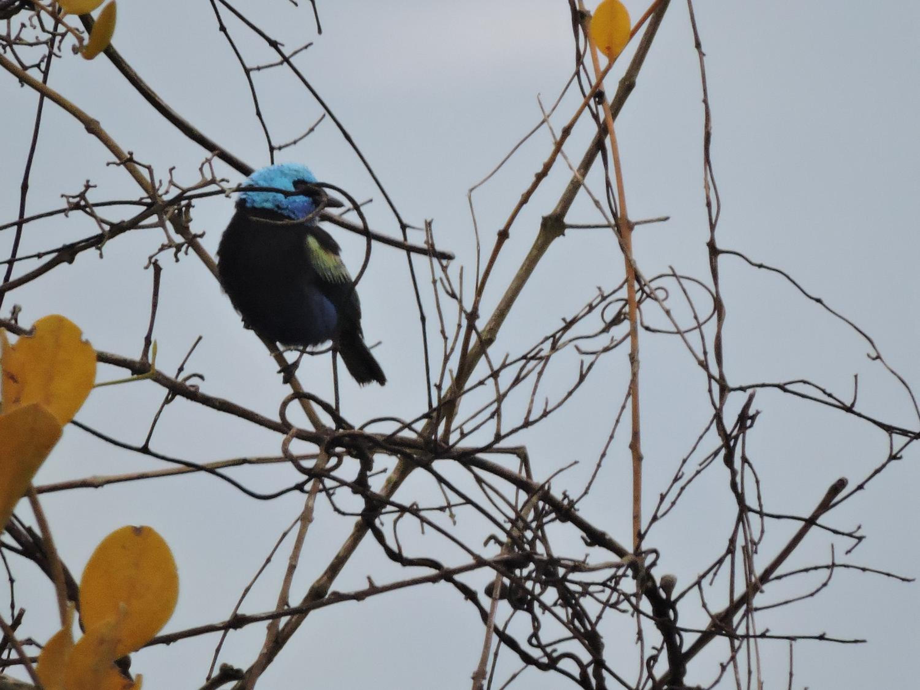 Eco-Cabanas Altozano Nimaima - Property Image 100