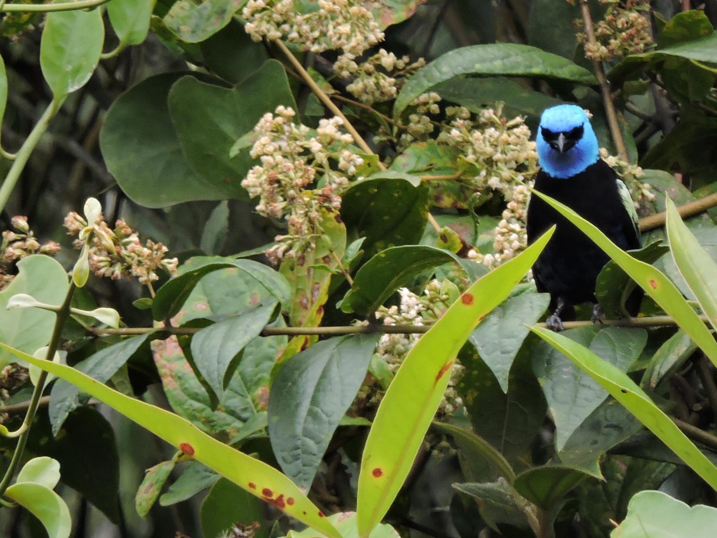 Eco-Cabanas Altozano Nimaima - Property Image 98