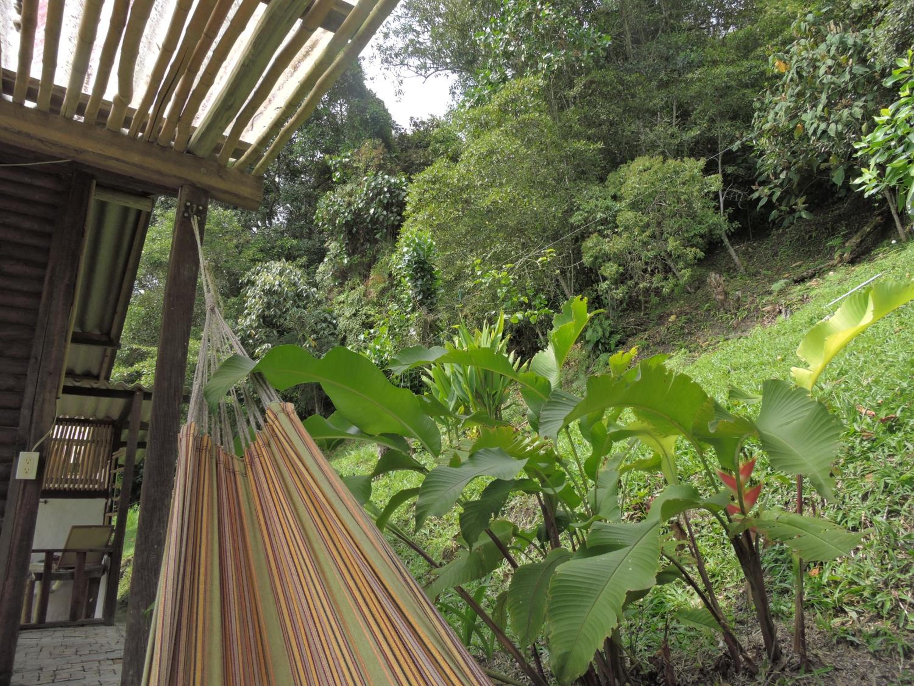 Eco-Cabanas Altozano Nimaima - Property Image 104