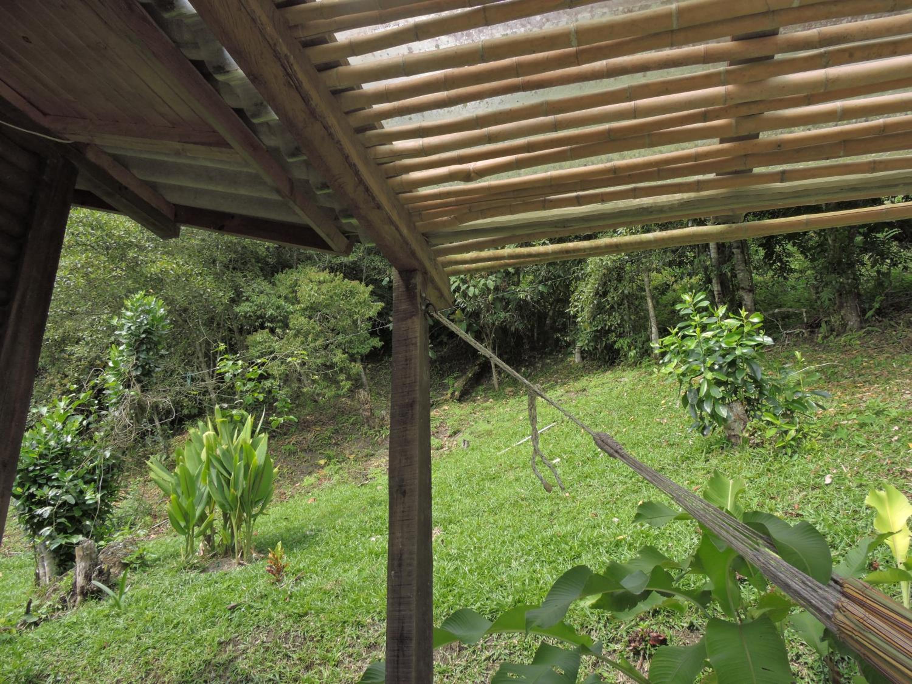 Eco-Cabanas Altozano Nimaima - Property Image 106