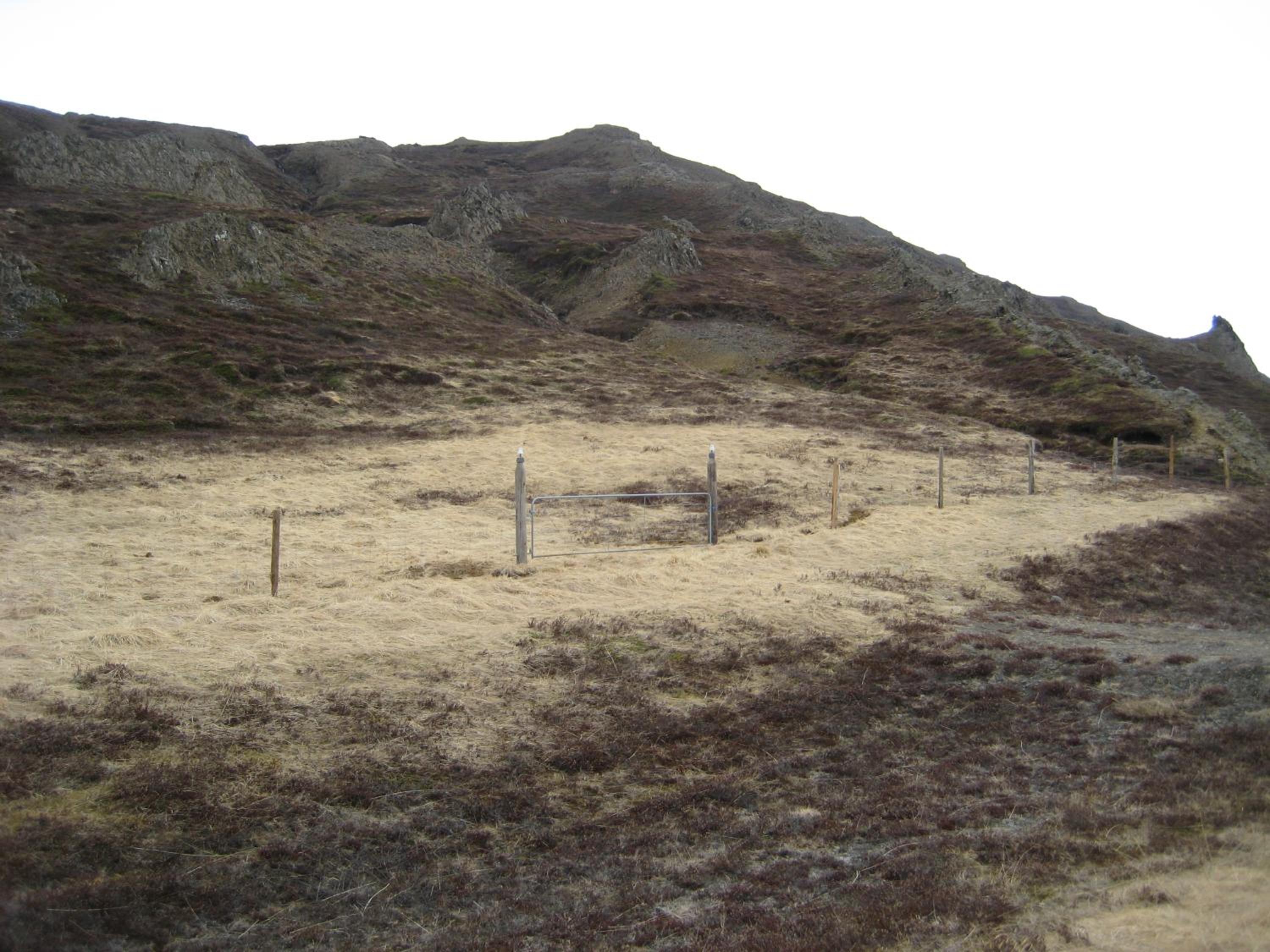 Photo 197