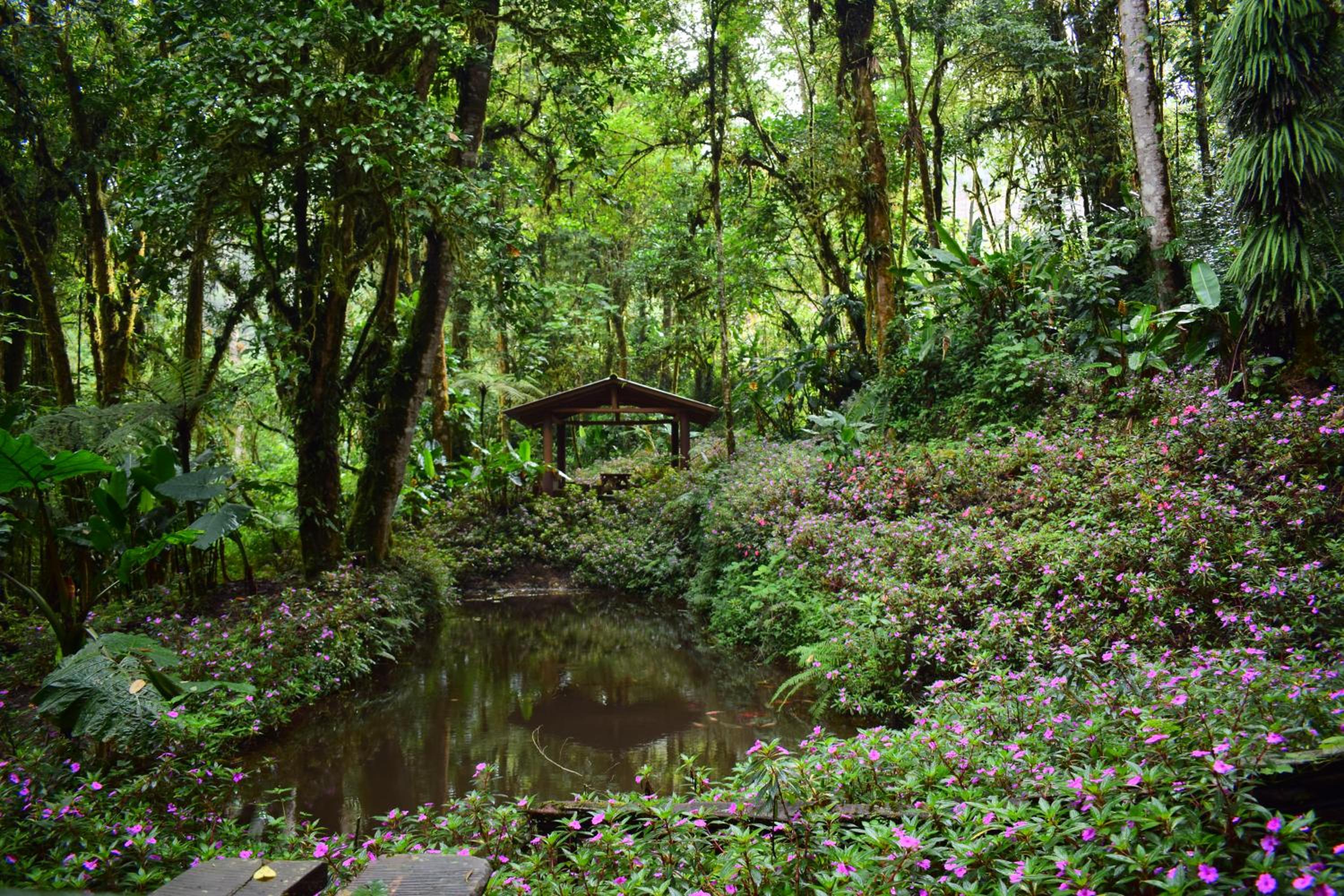 Reserva Natural Cerro Alto