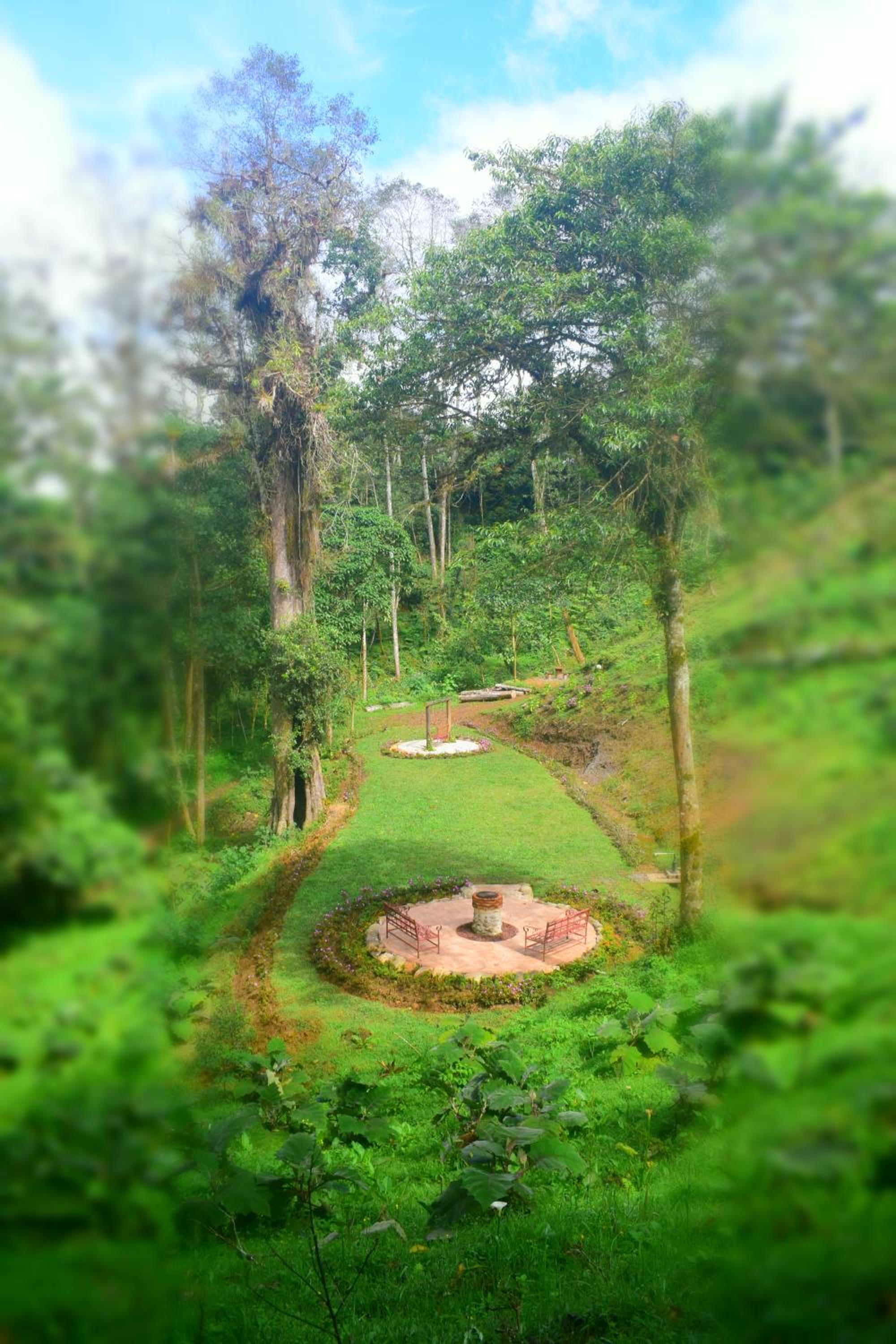 Reserva Natural Cerro Alto