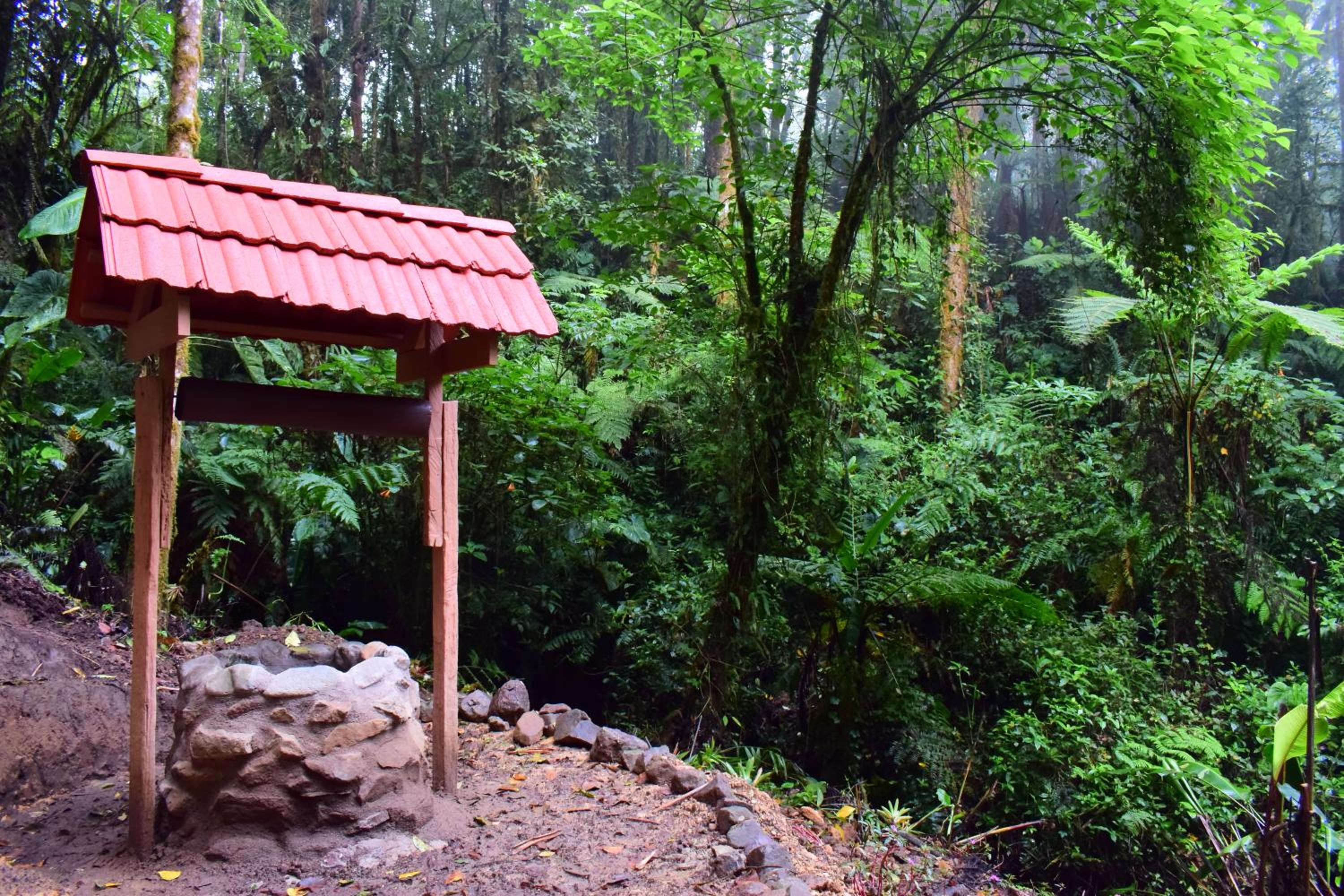 Reserva Natural Cerro Alto