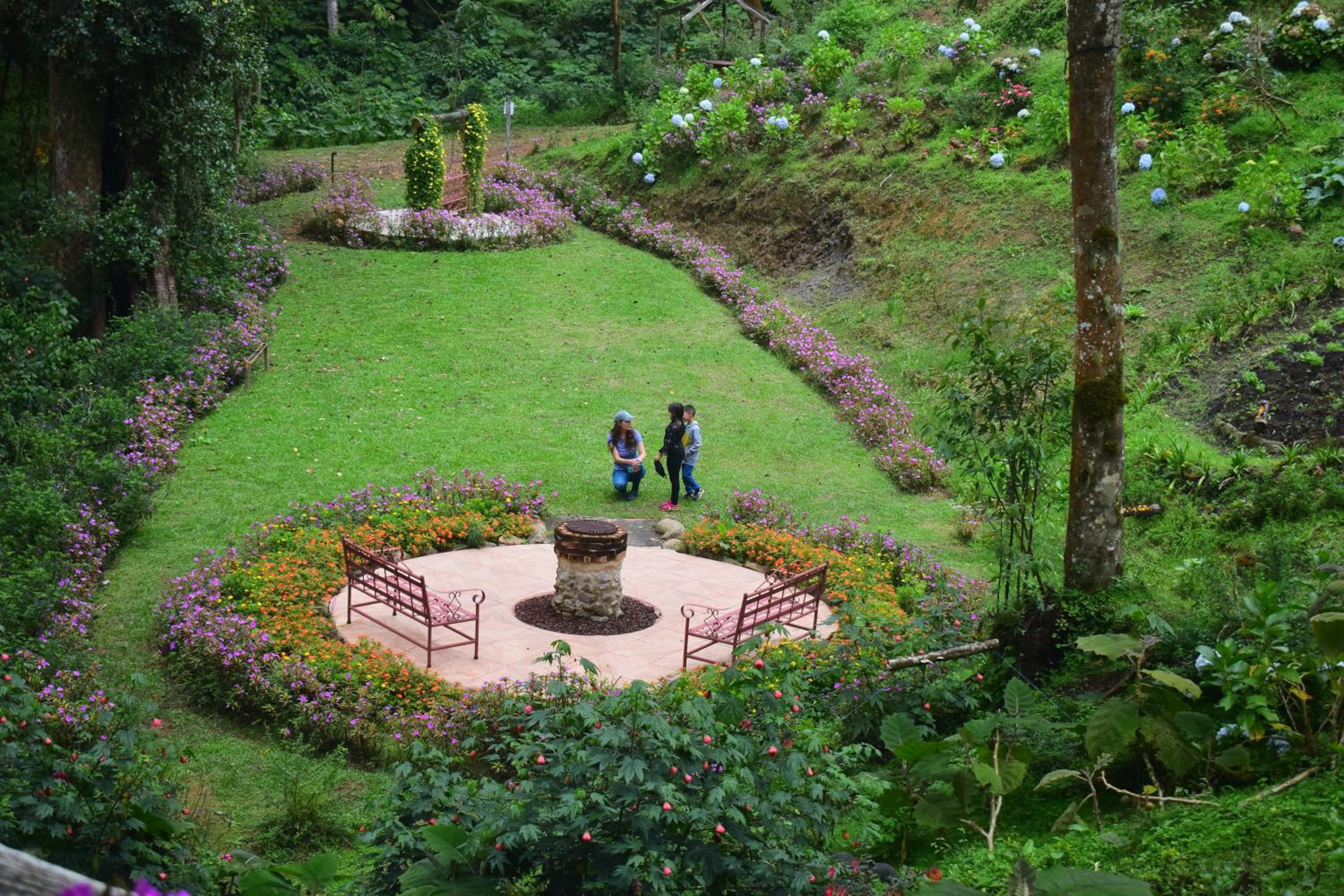 Reserva Natural Cerro Alto