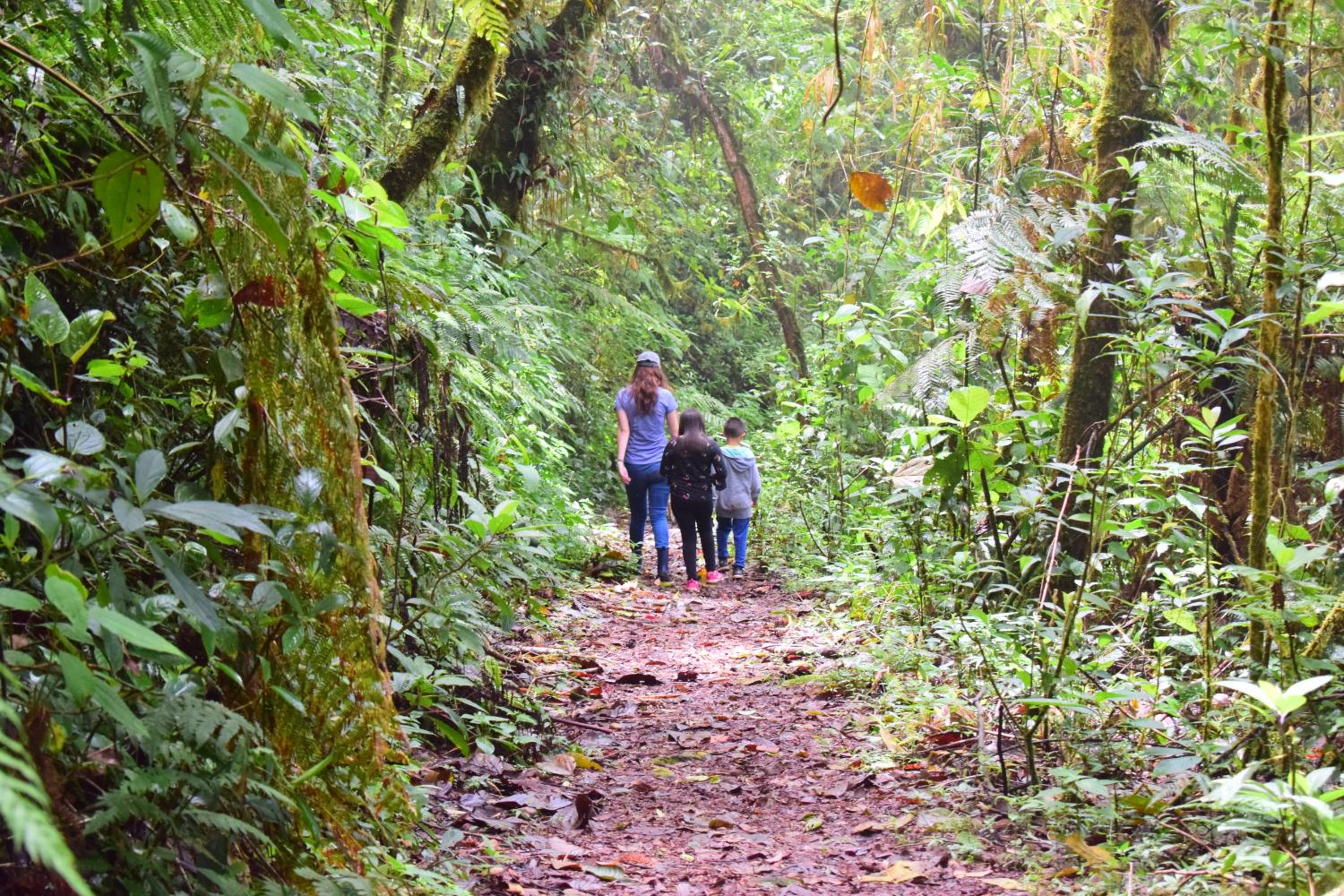 Reserva Natural Cerro Alto