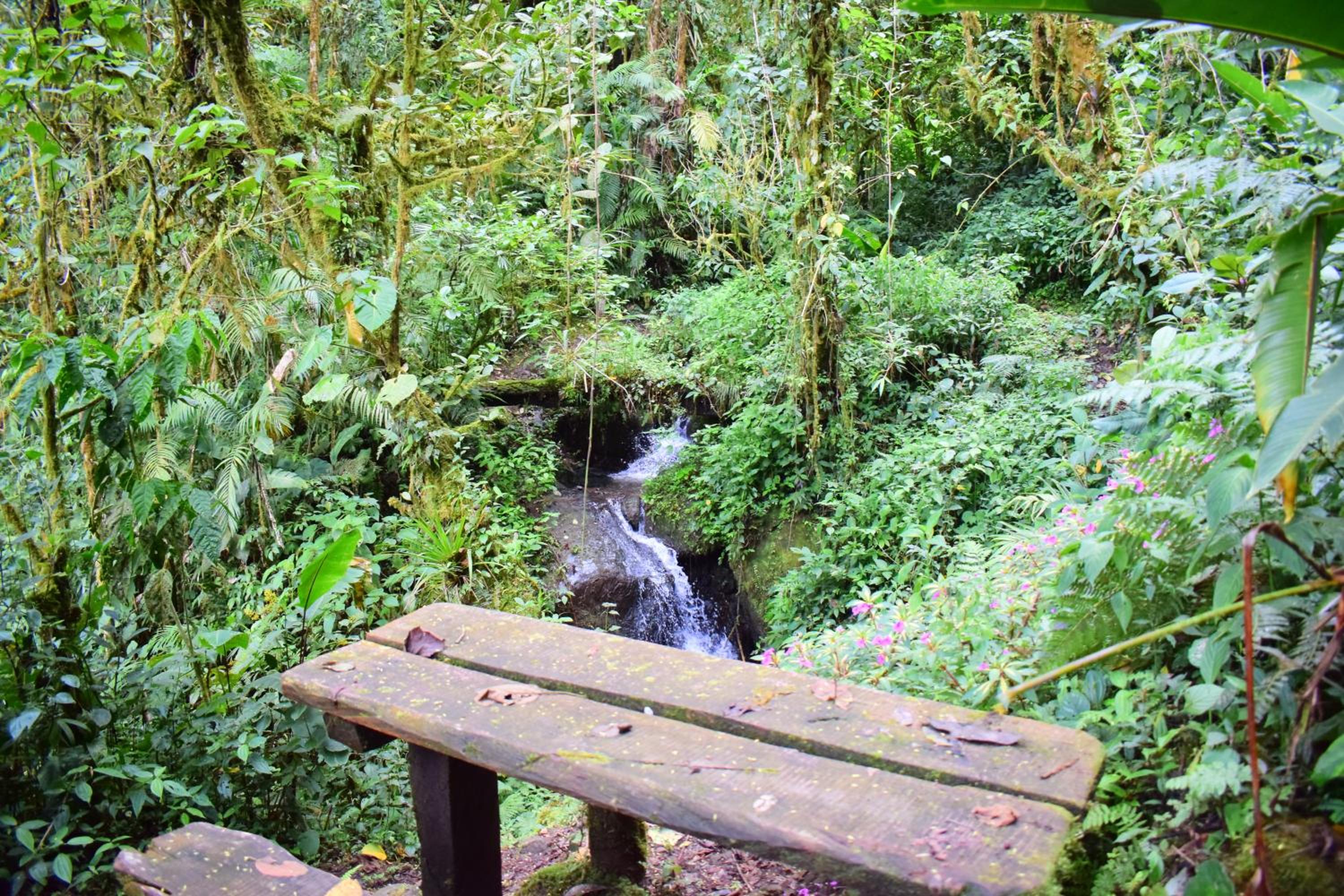 Reserva Natural Cerro Alto