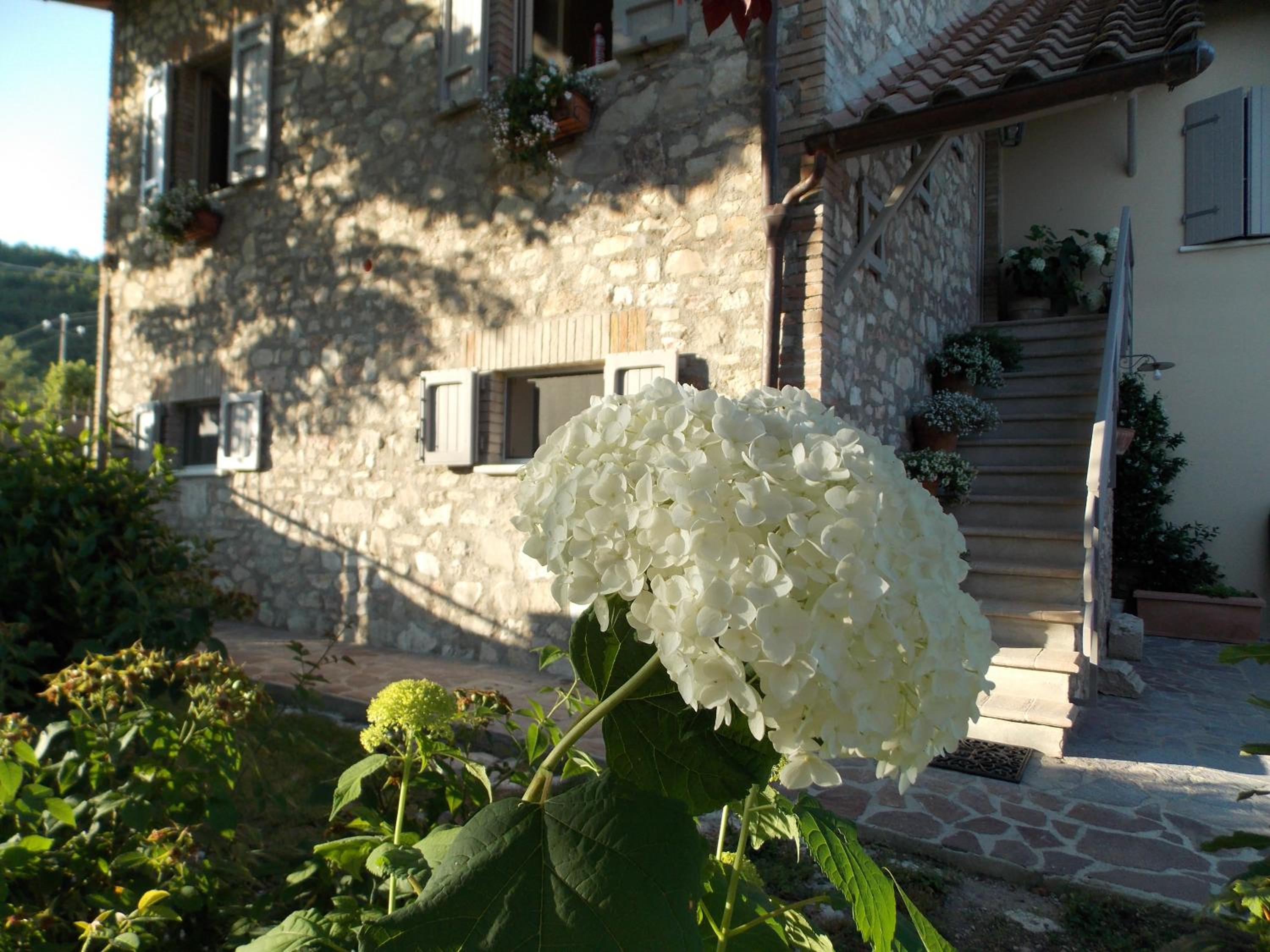 Photo 27