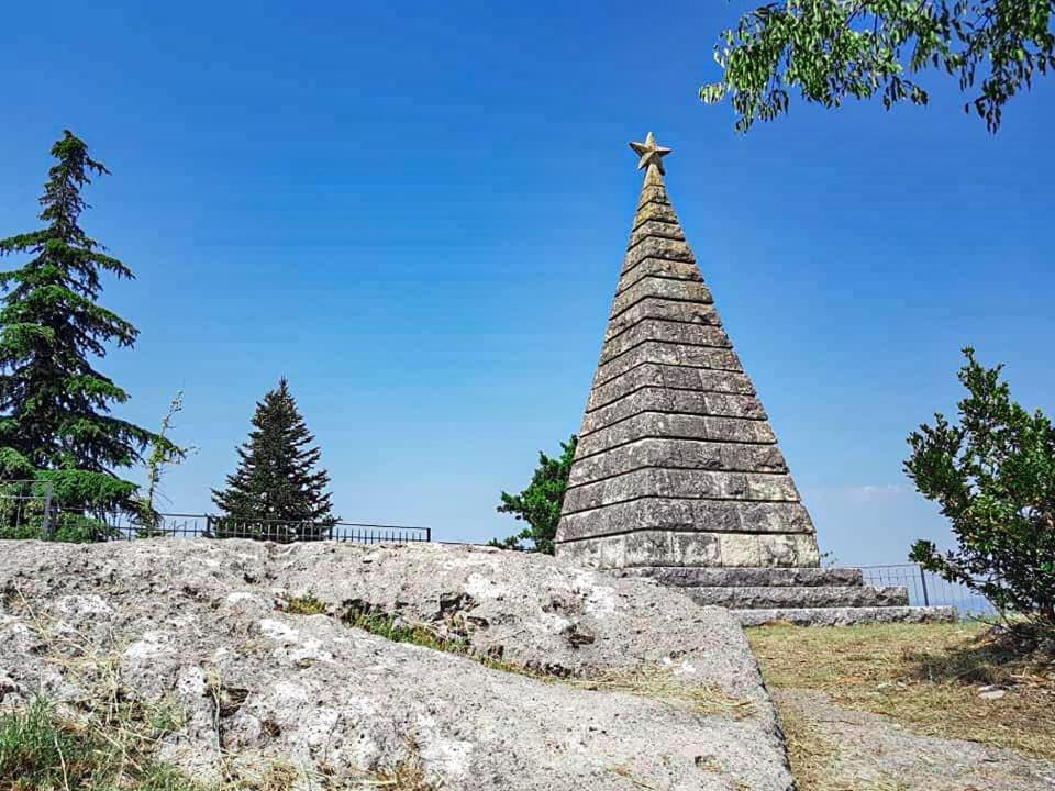 Photo 49