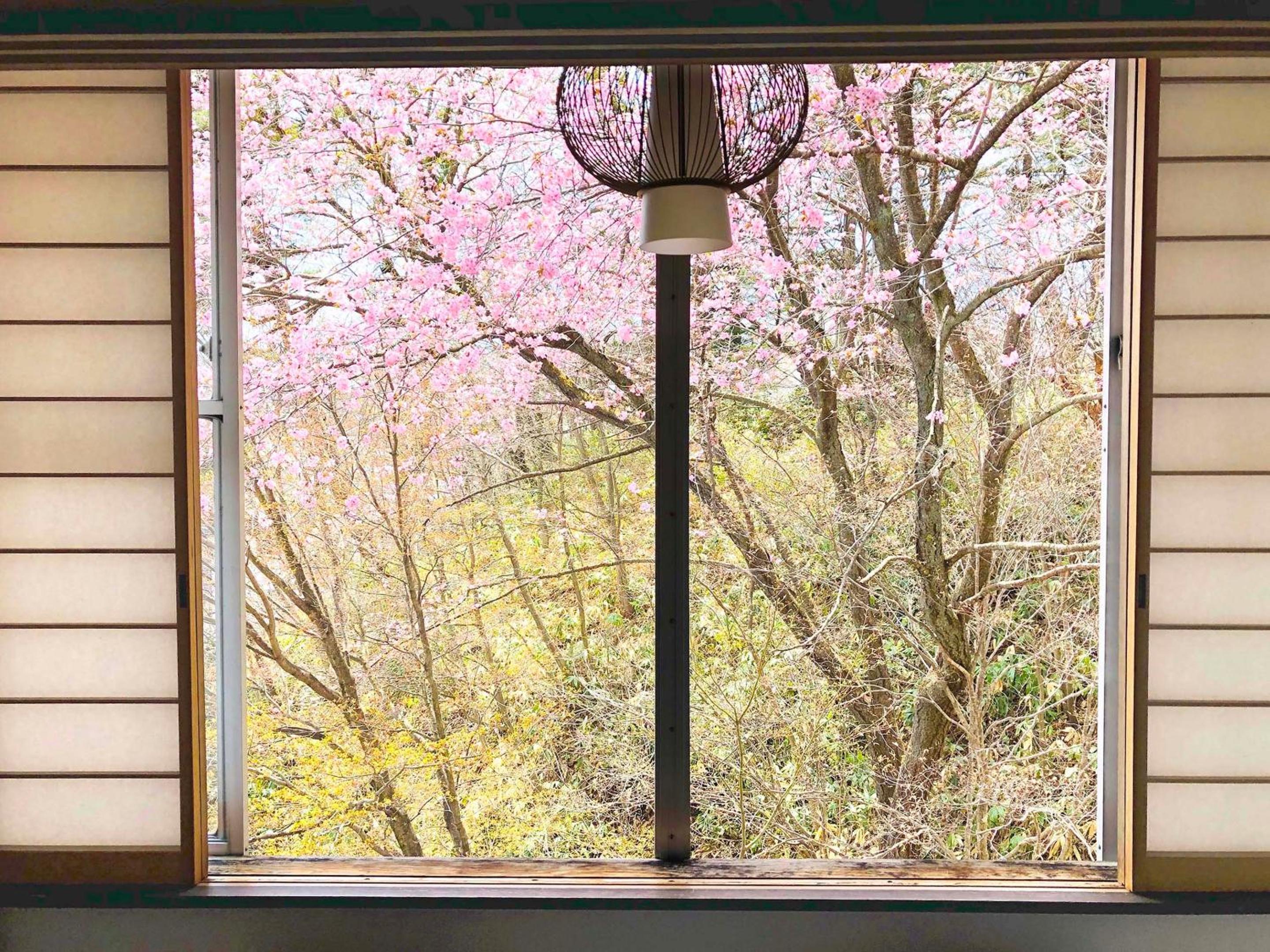 Kirishimaya Ryokan