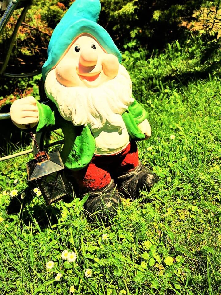 Photo 29