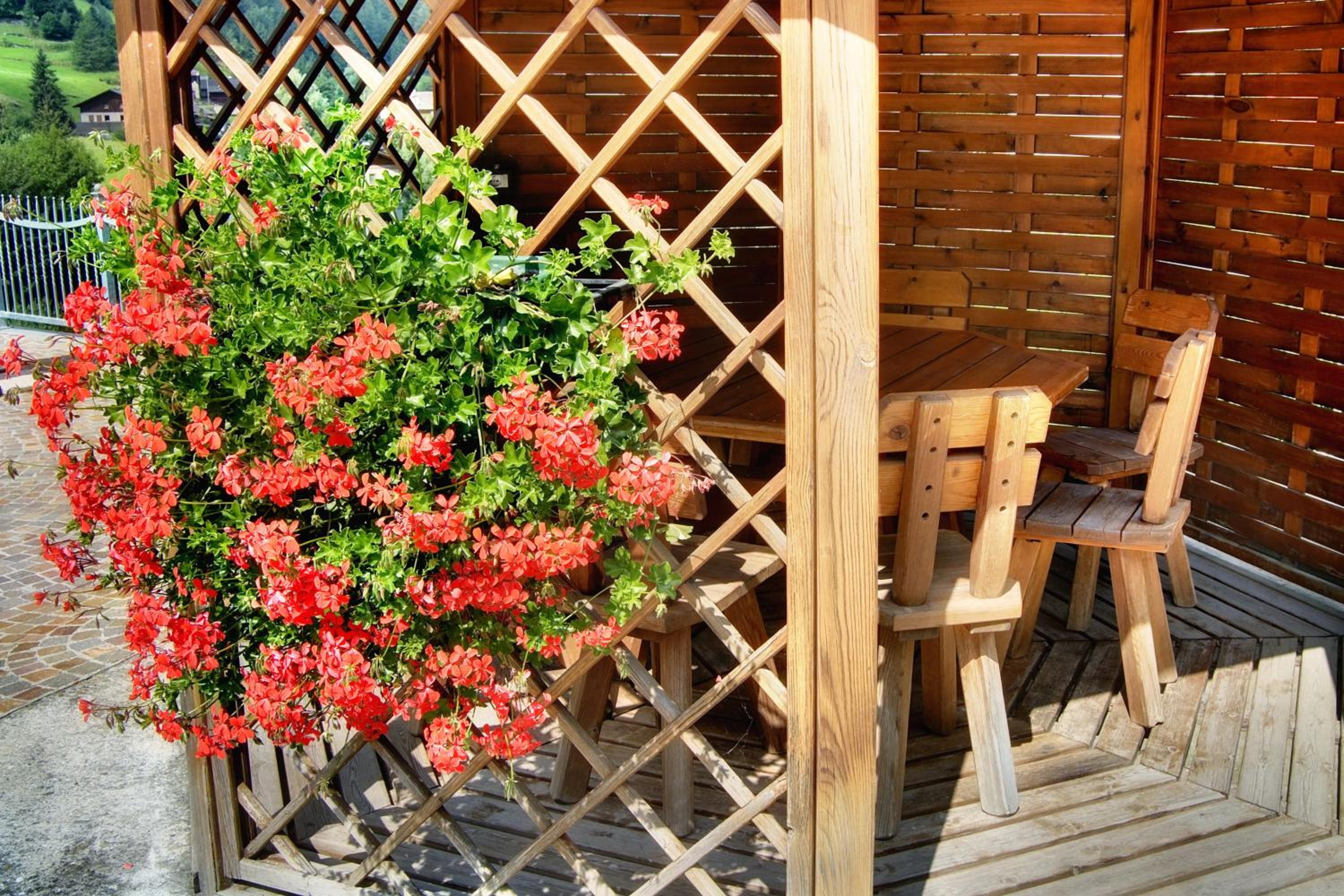 outdoor BBQ area