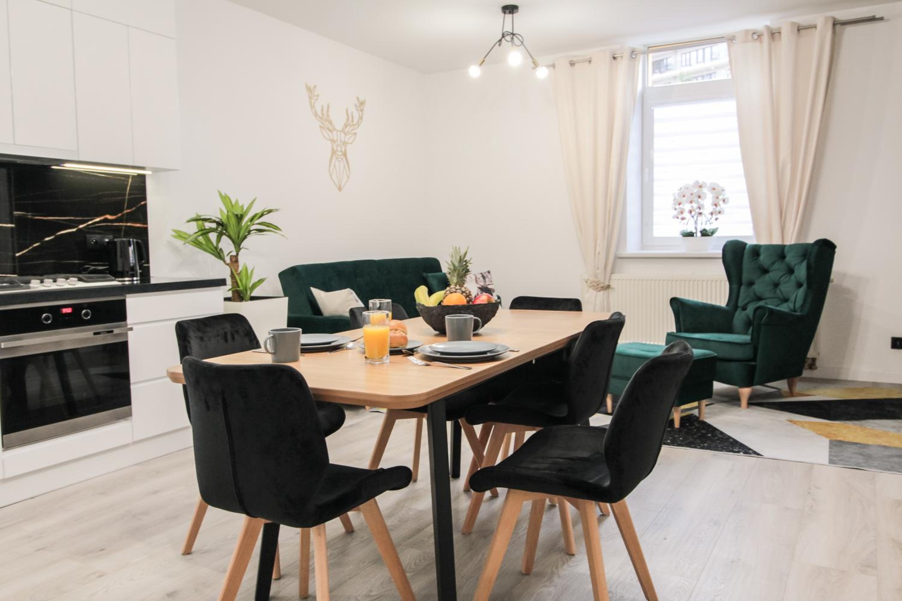 Apartament Złoty Jeleń - garaż gratis view 4