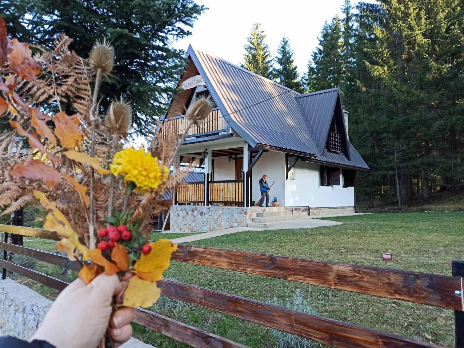 Vila Dunja Zlatar view 5