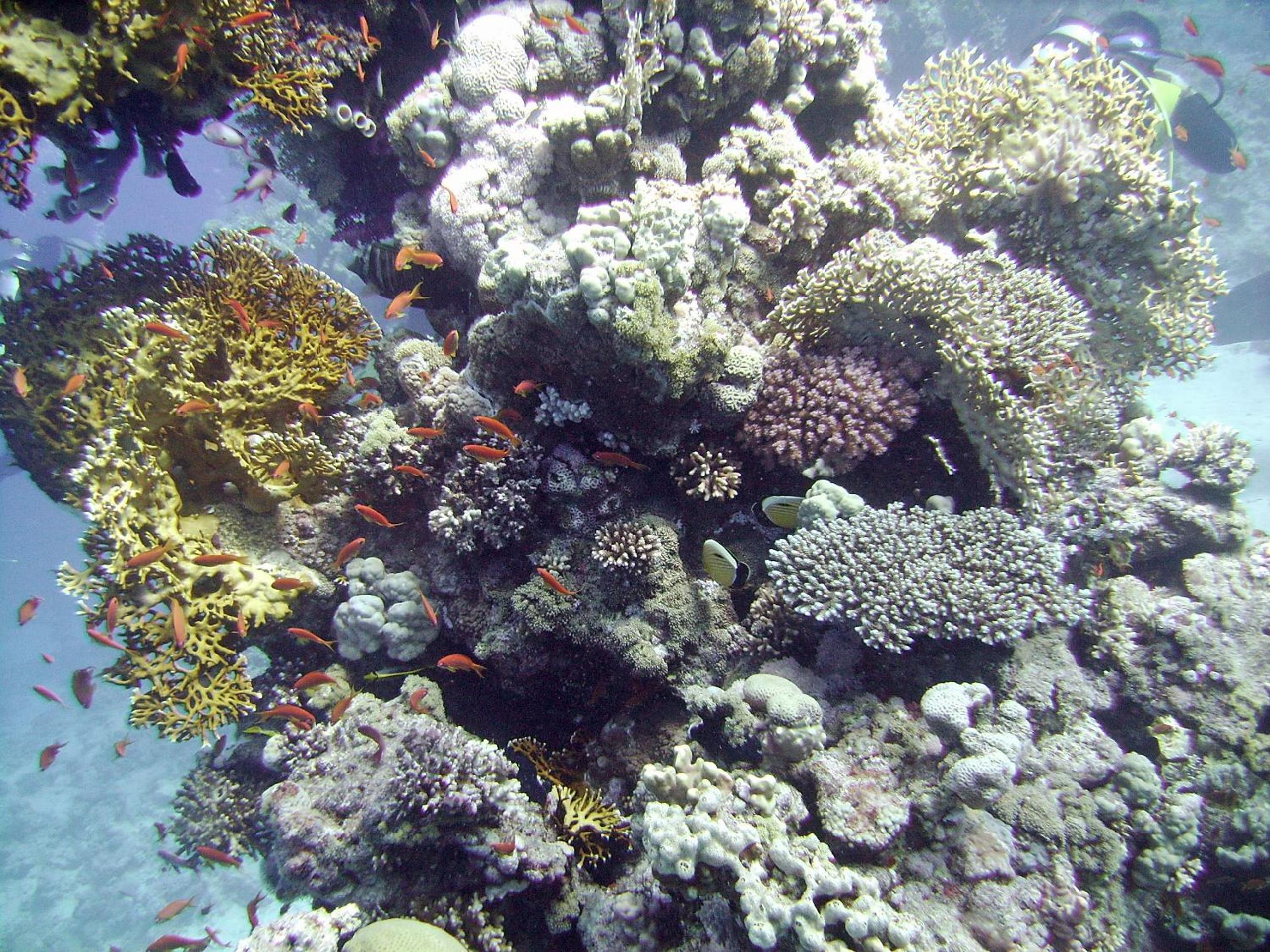 Photo 30