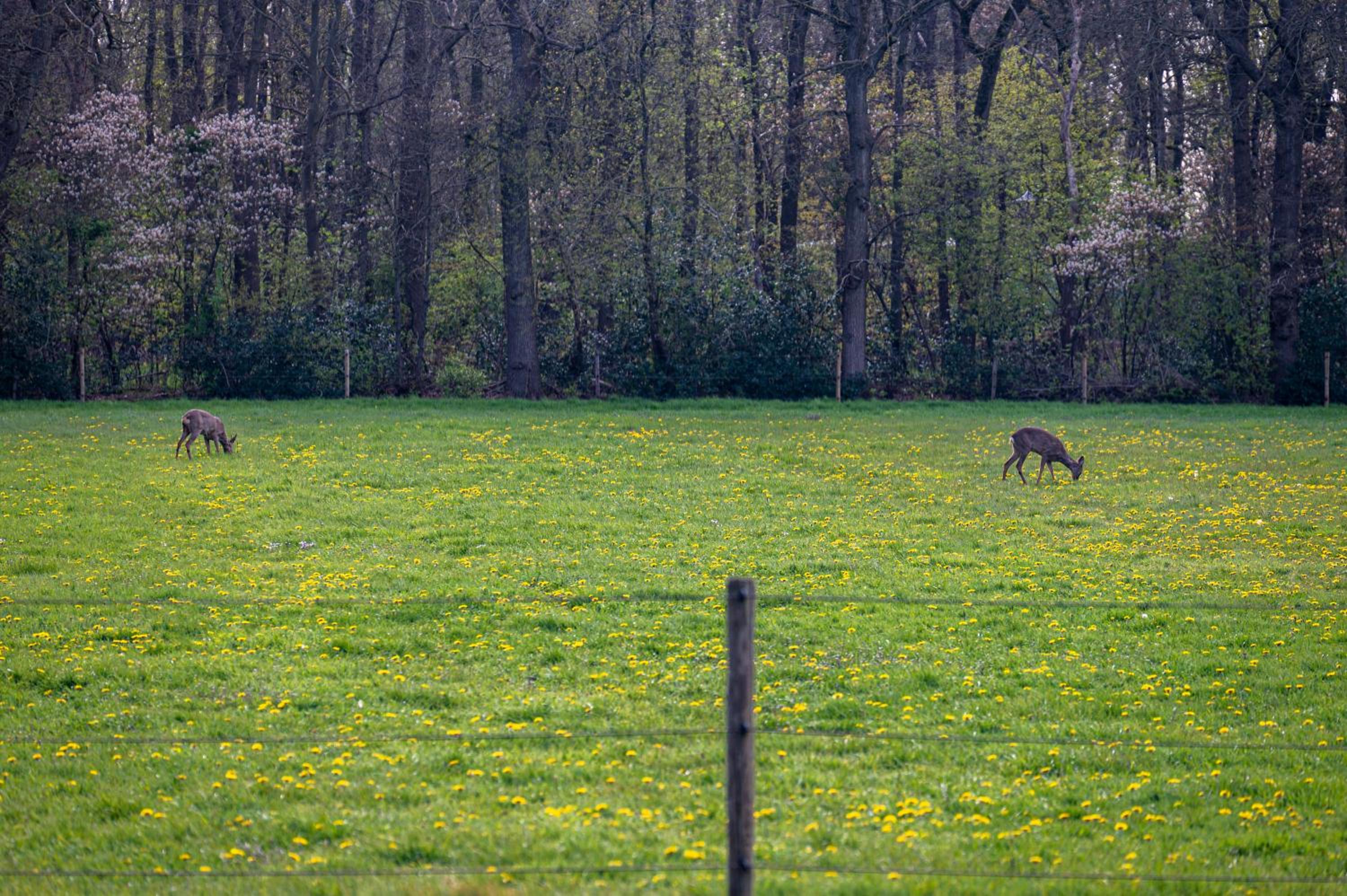 Tranquility Farm view 4