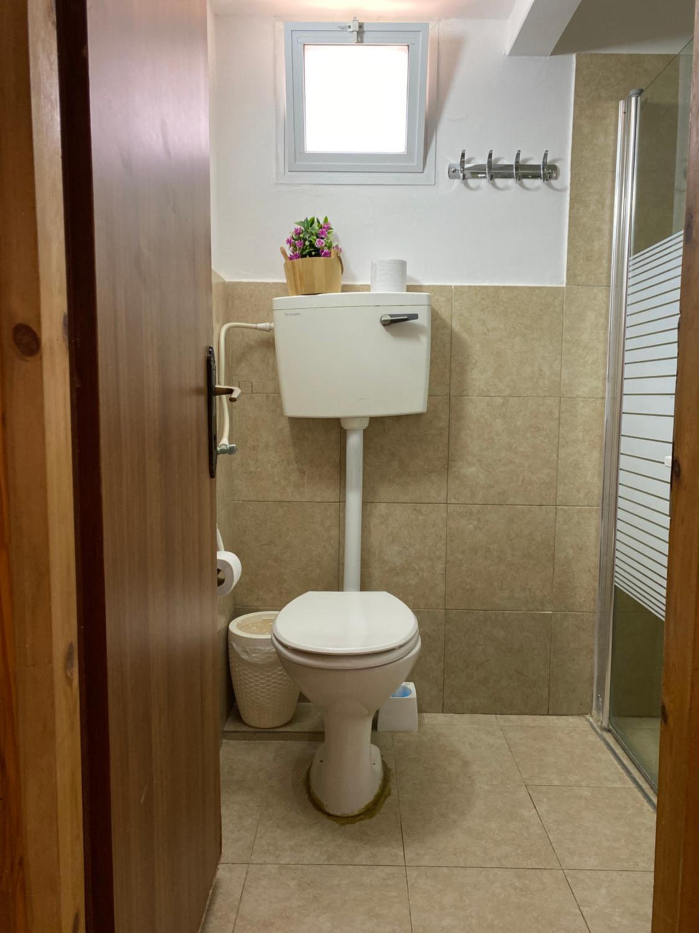 Zimmer Dora