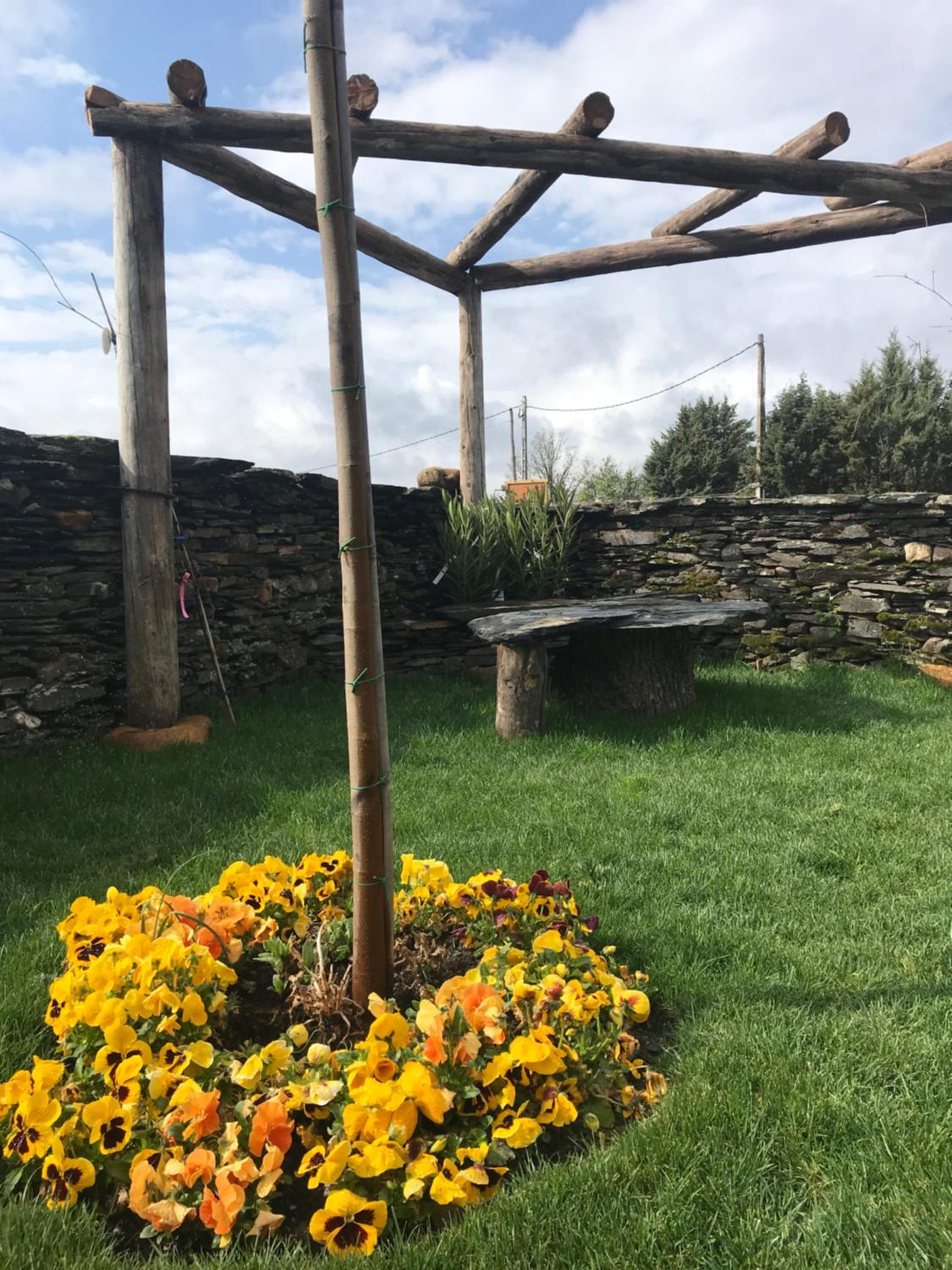 Photo 39