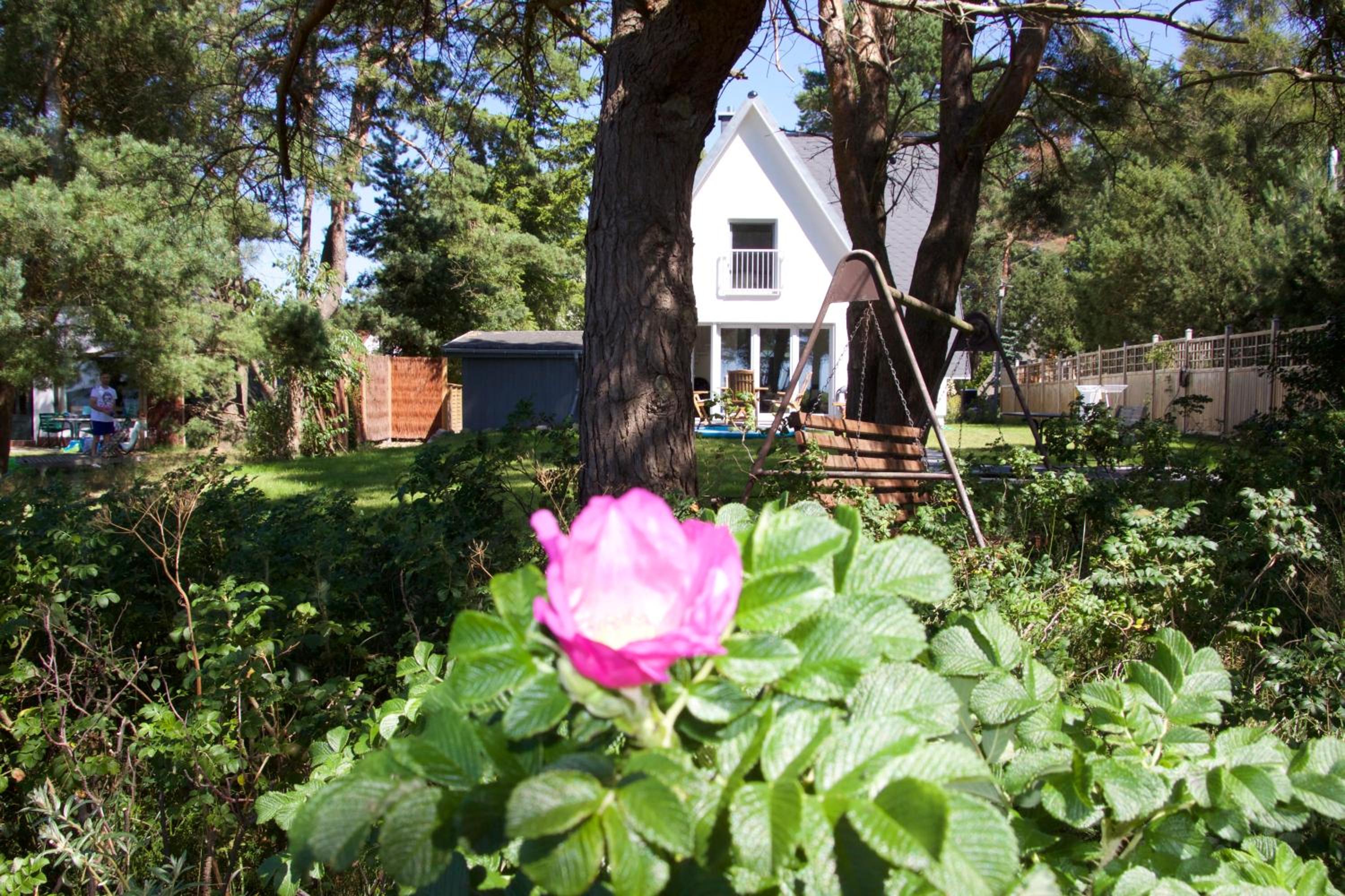 Ferienhaus-Achterwasser-Usedom view 3