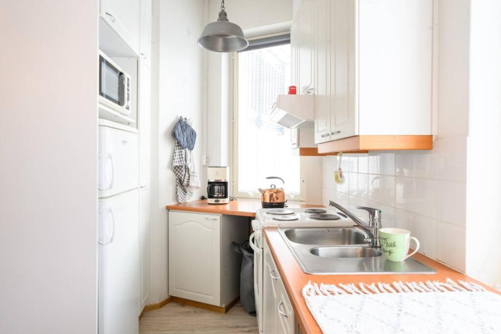 Viihtyisä 27 neliön studio Mikkelin Nuijamiehessä
