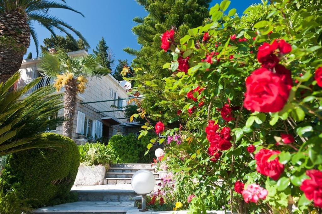 Guest House Villa Nina