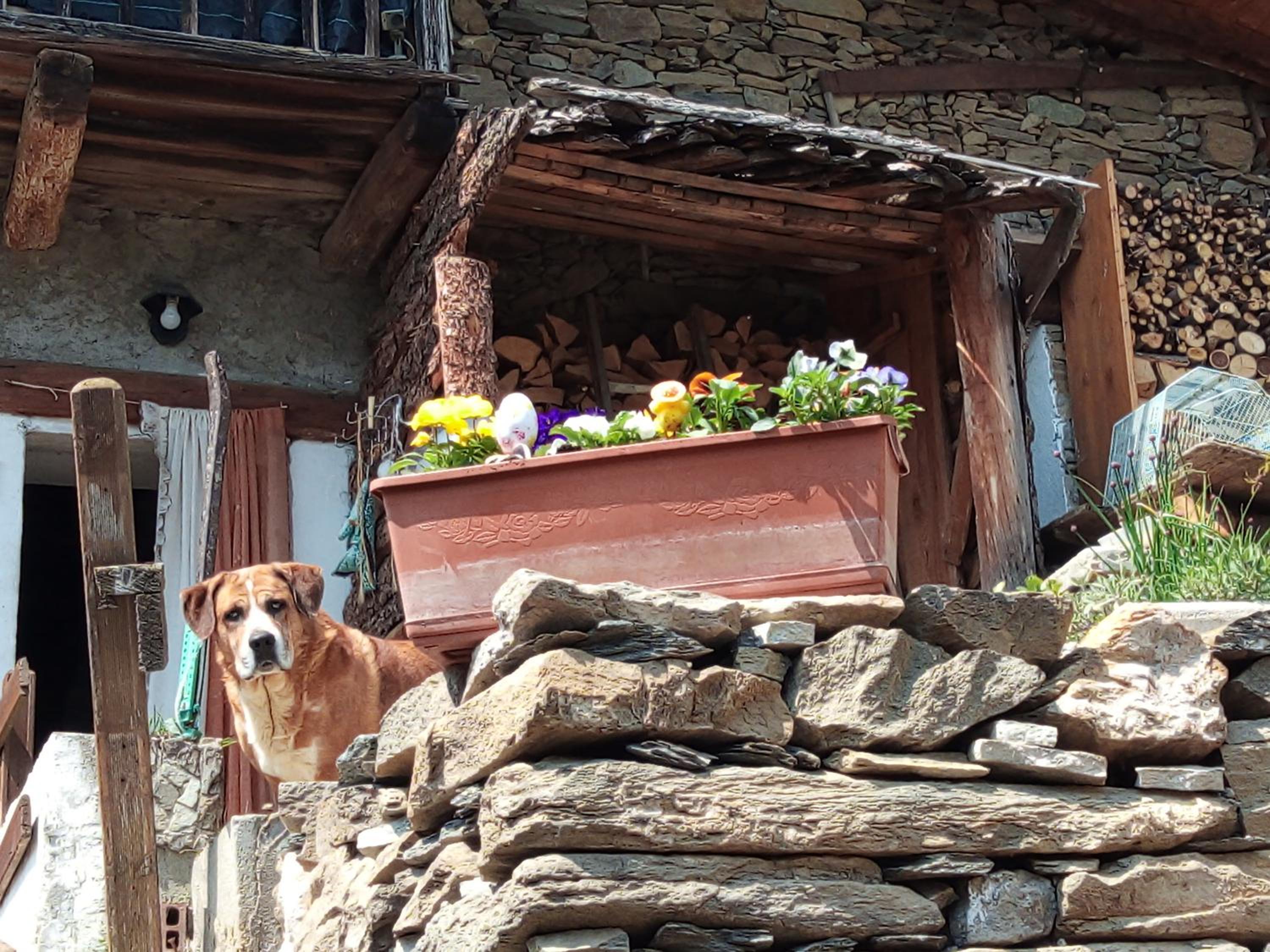 Il Càssero