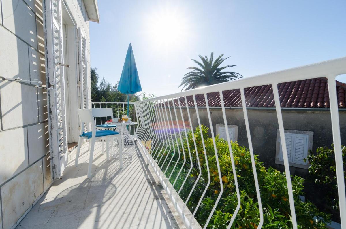 Apartment & Room Cvita