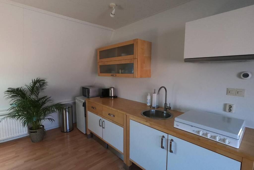 Zomerhuis At Sea op top locatie in Egmond aan zee view 2