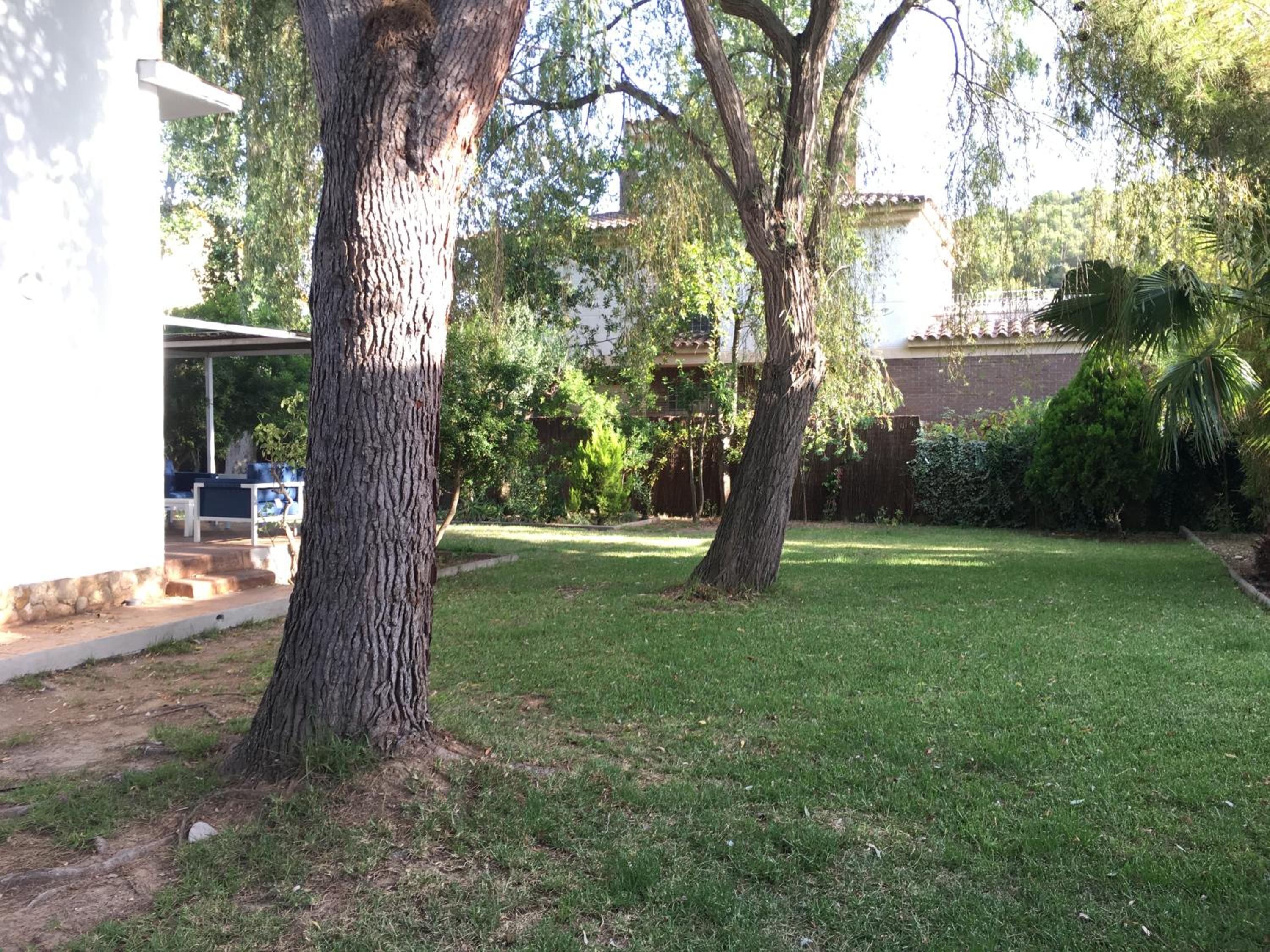 Photo 57