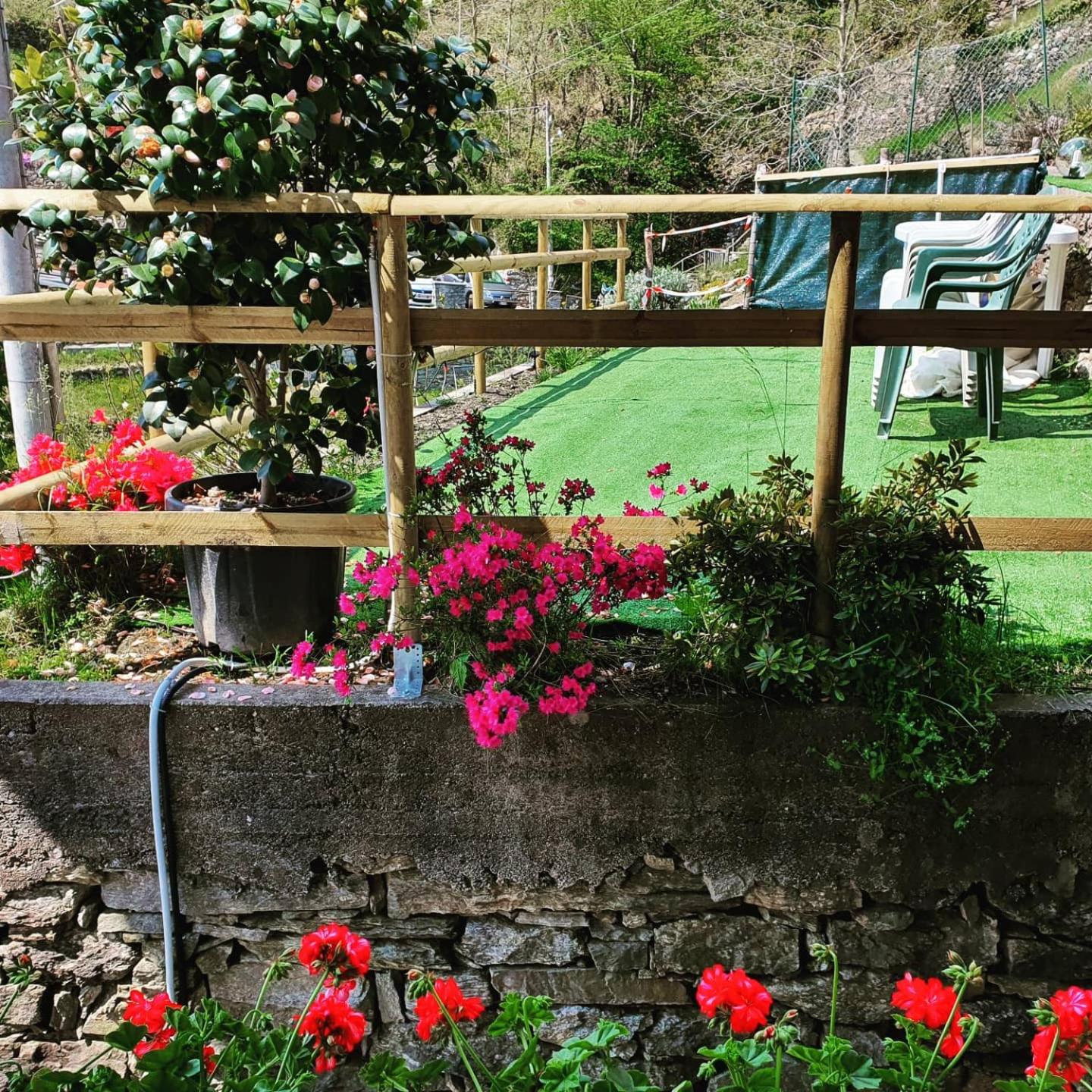 Coccinella House