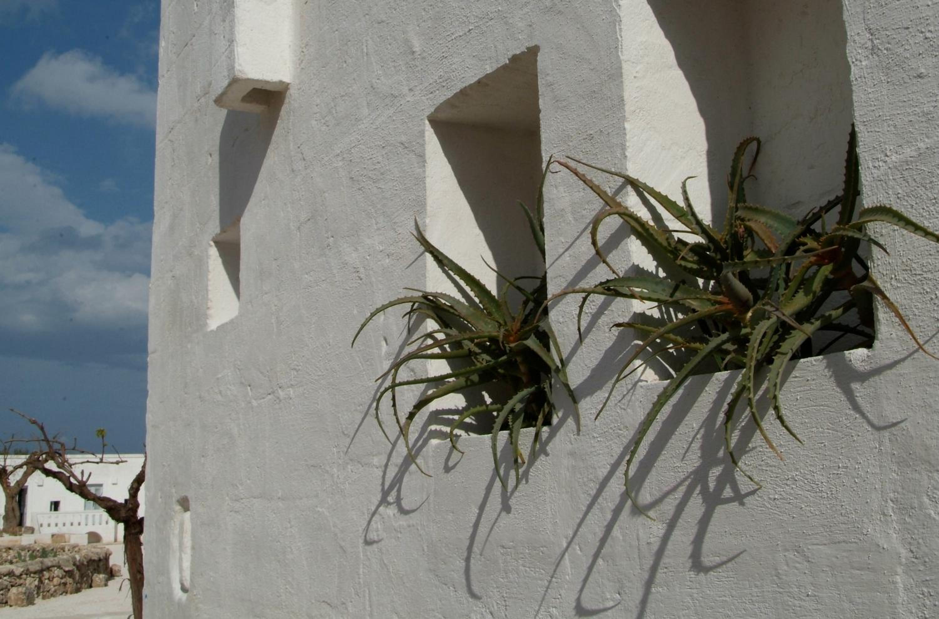 Masseria Cimino view 2