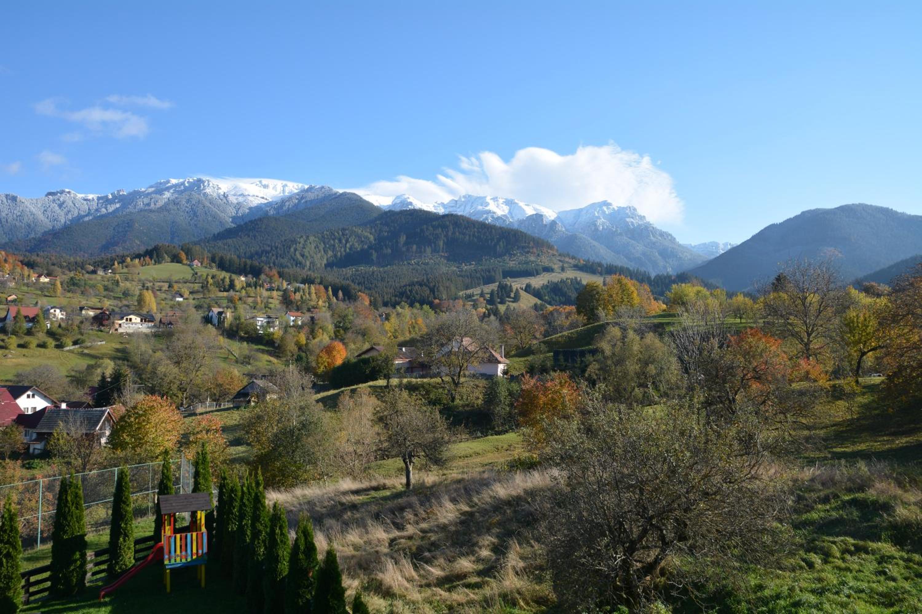 Photo 33