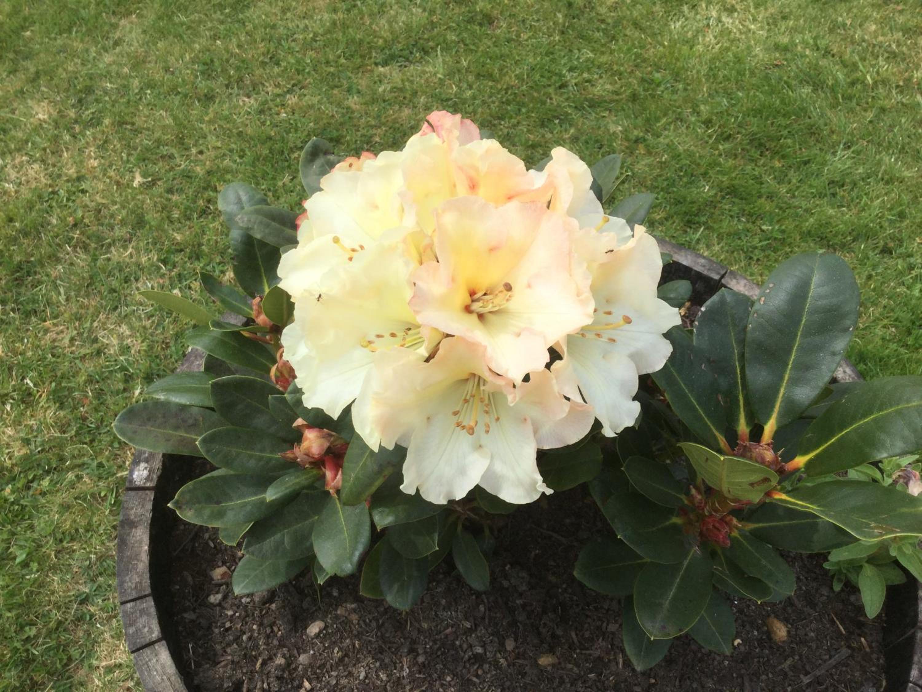 Photo 16