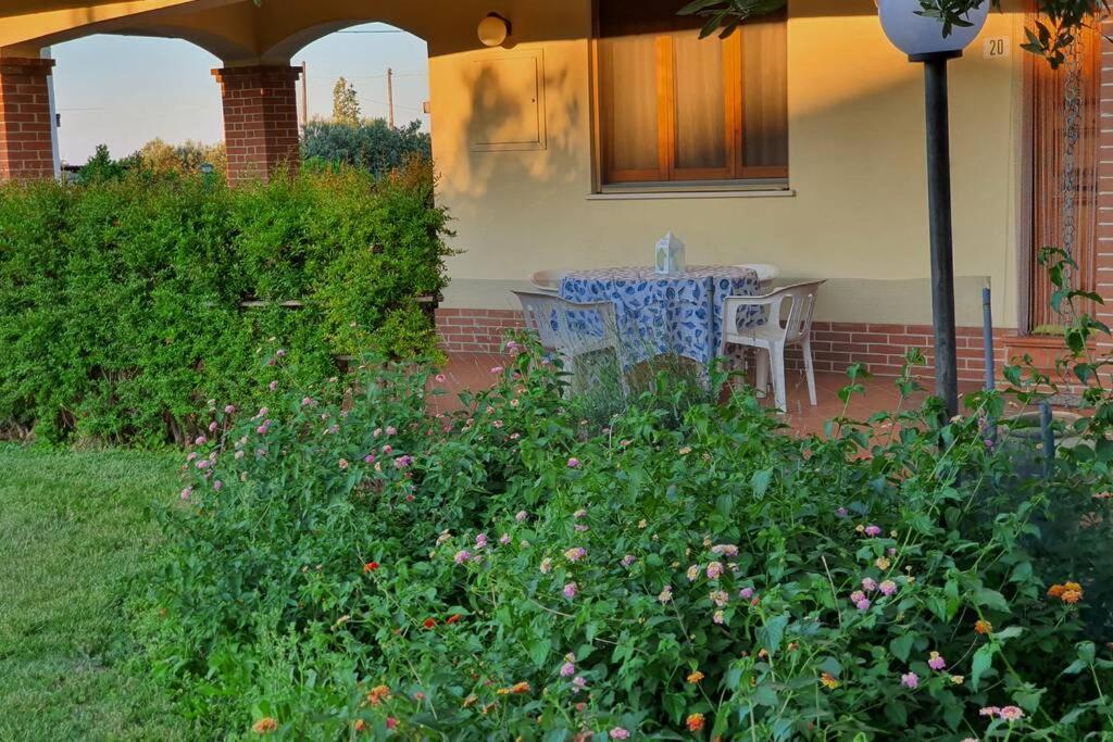 Villetta Giardino degli Ulivi