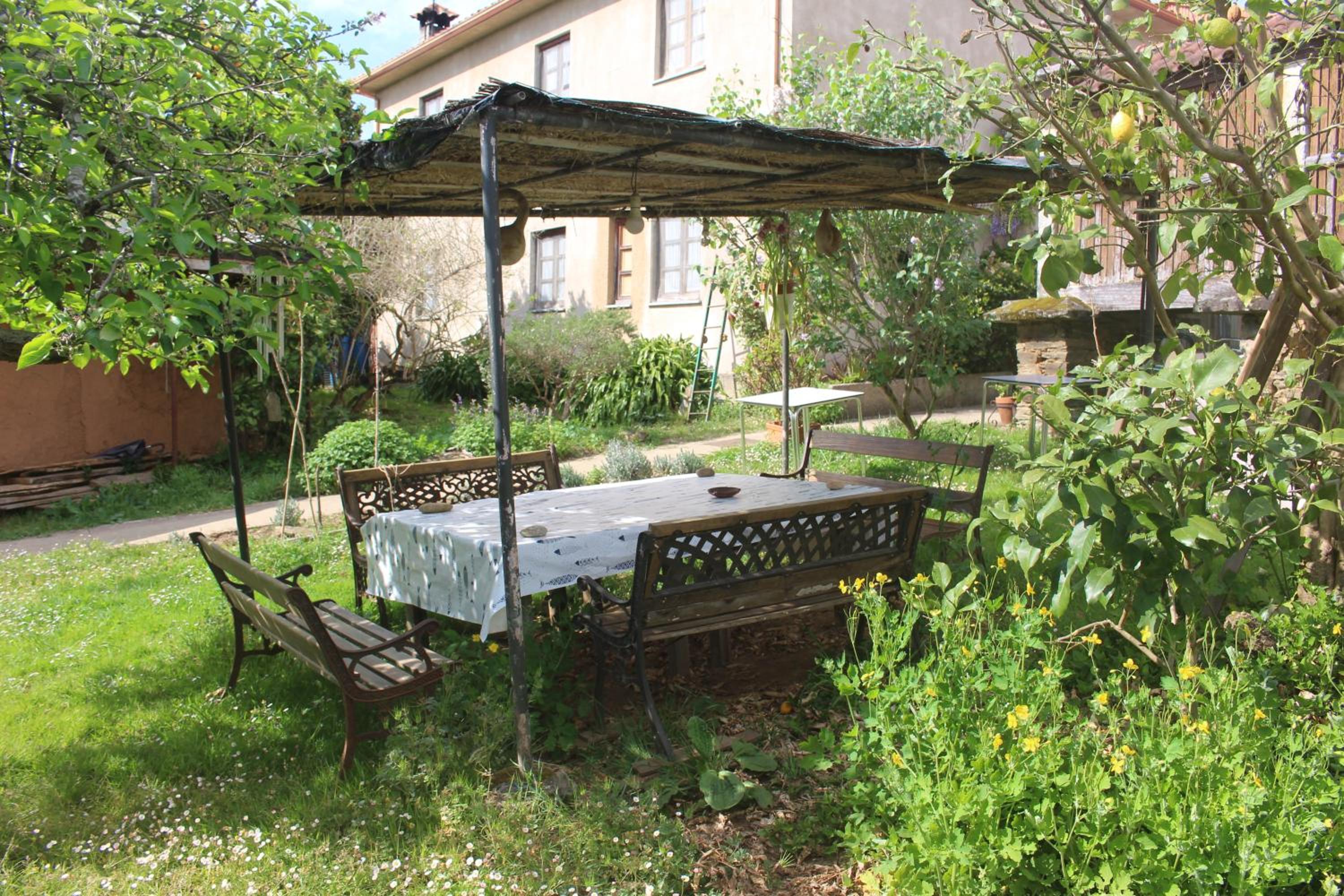 Photo 31