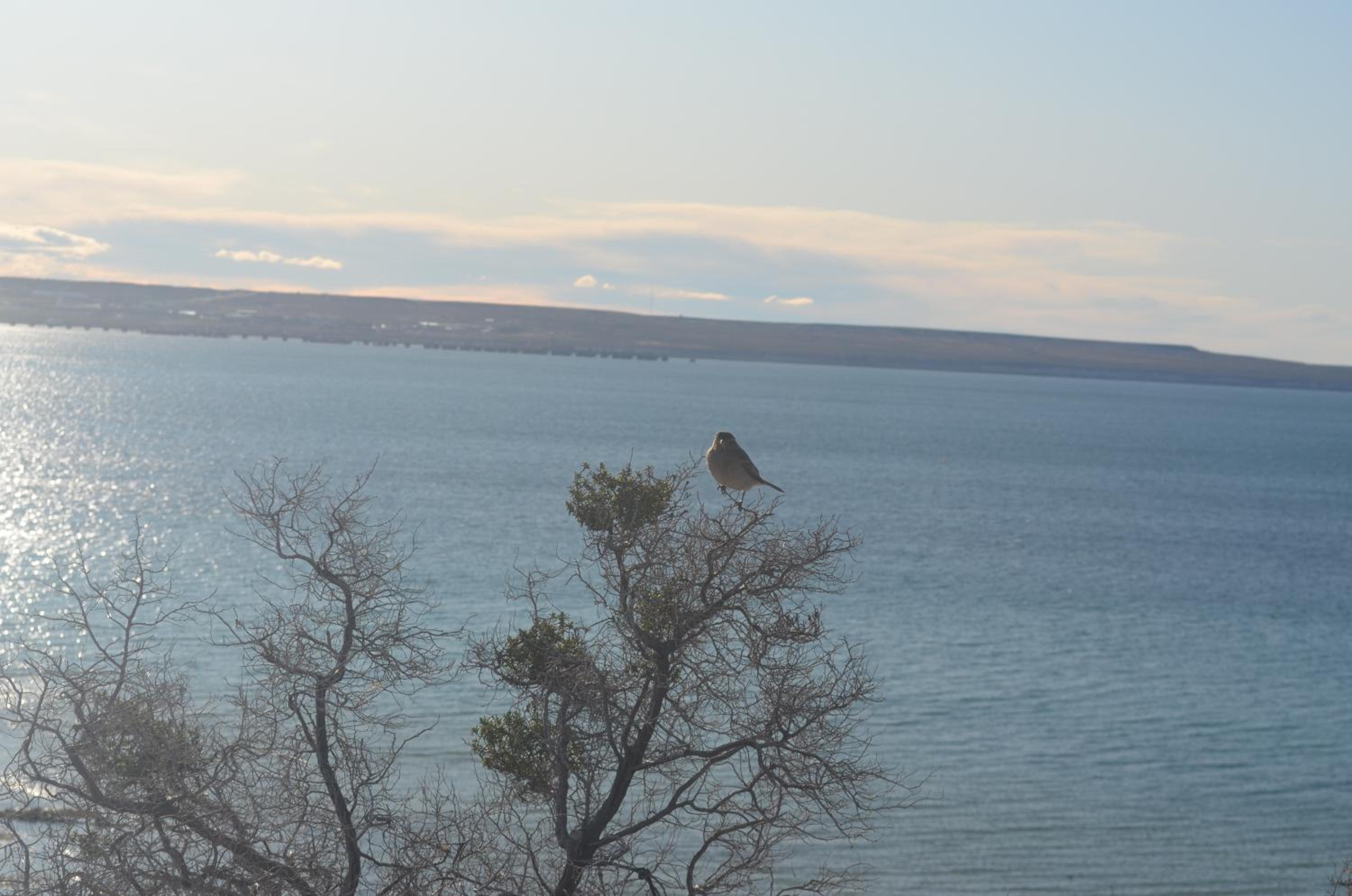 Vista al Golfo Nuevo