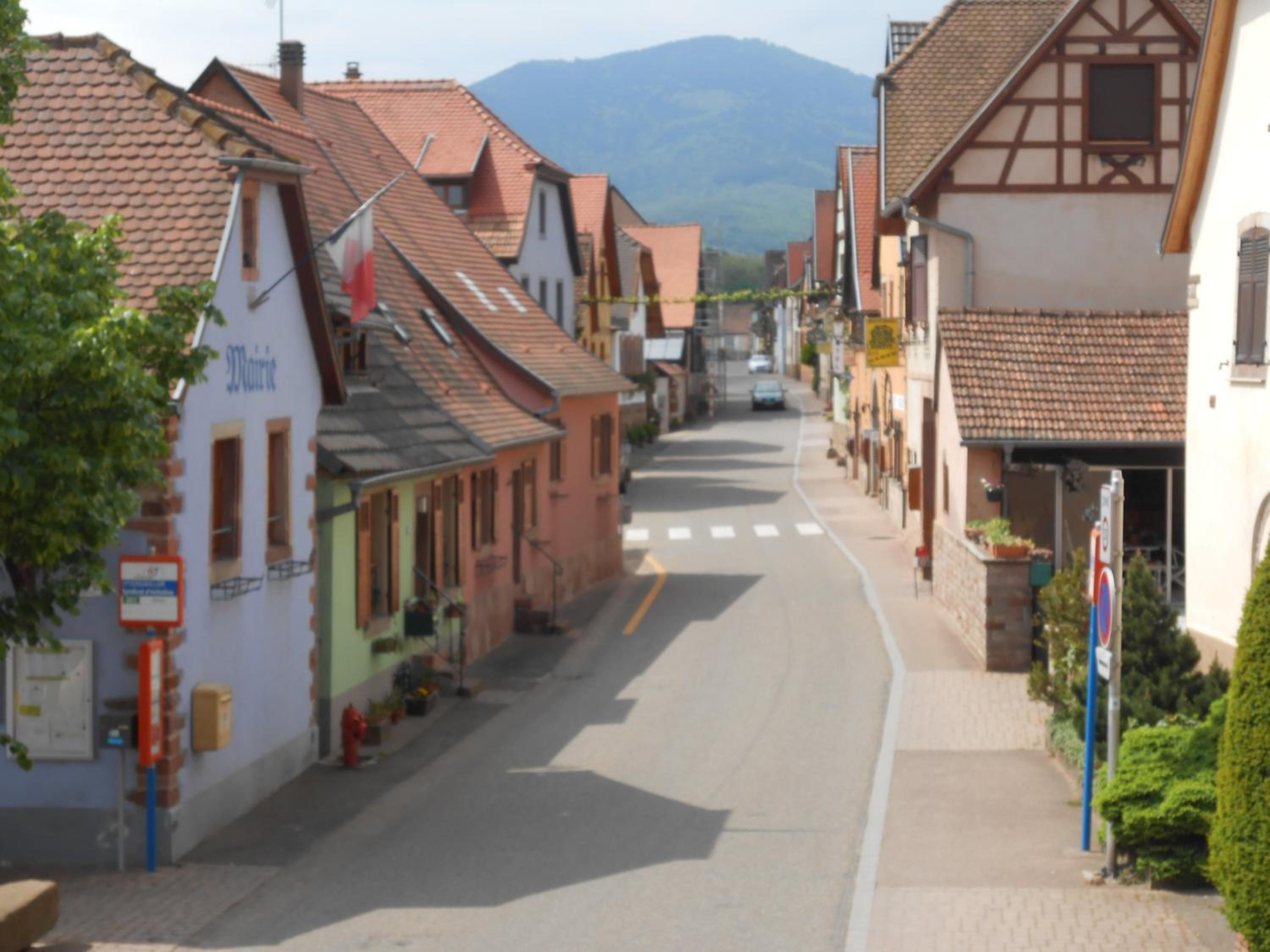 Gite Ungersberg view 5