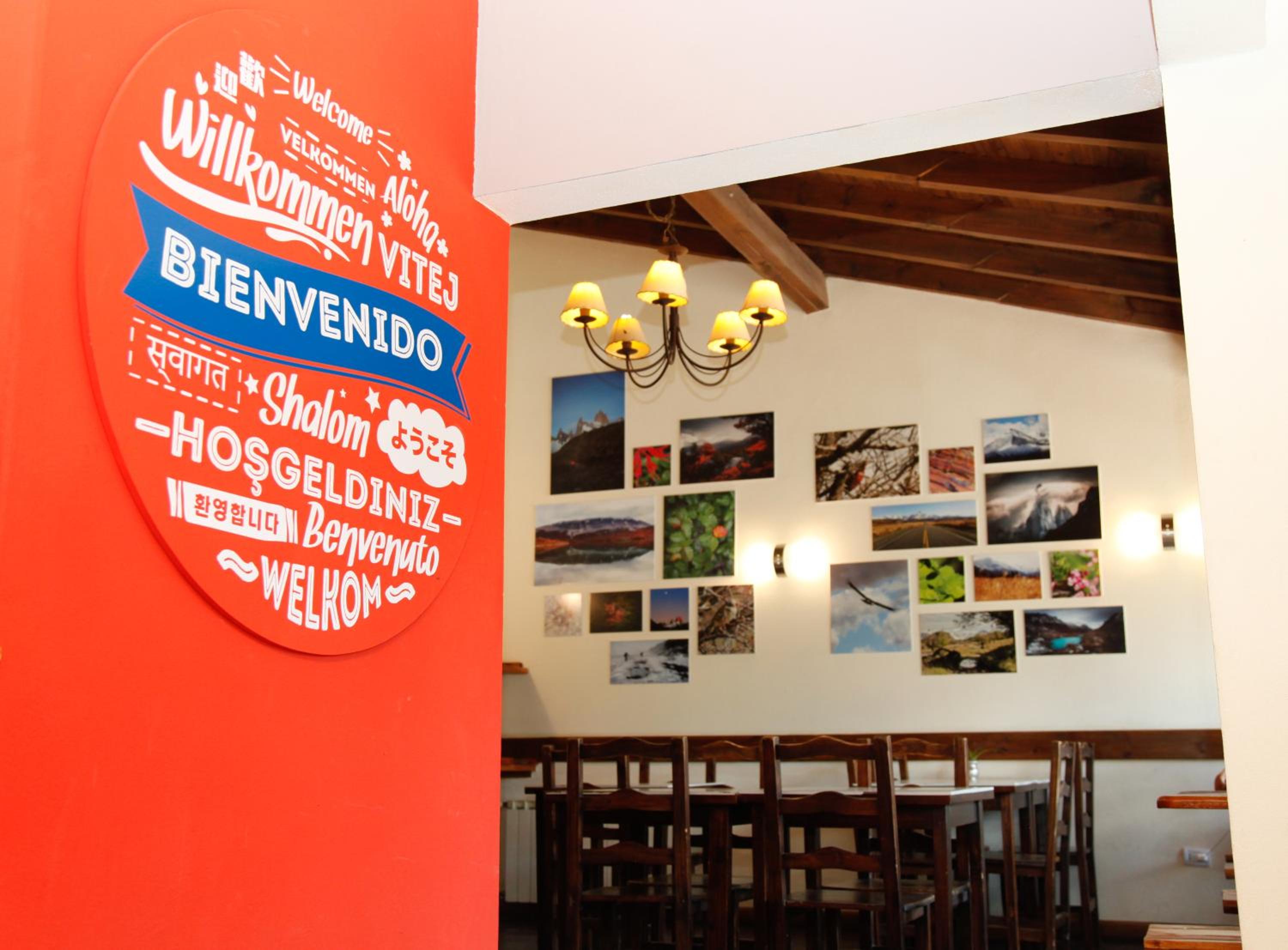 Condor De Los Andes