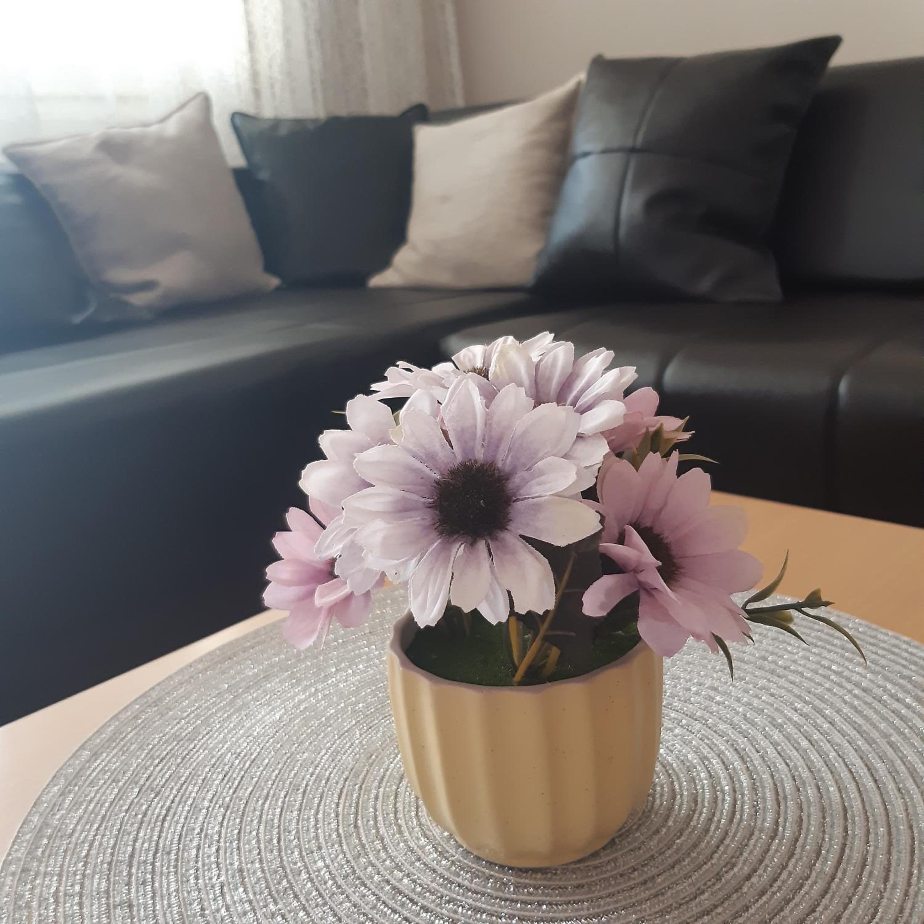 Apartman Marger view 3