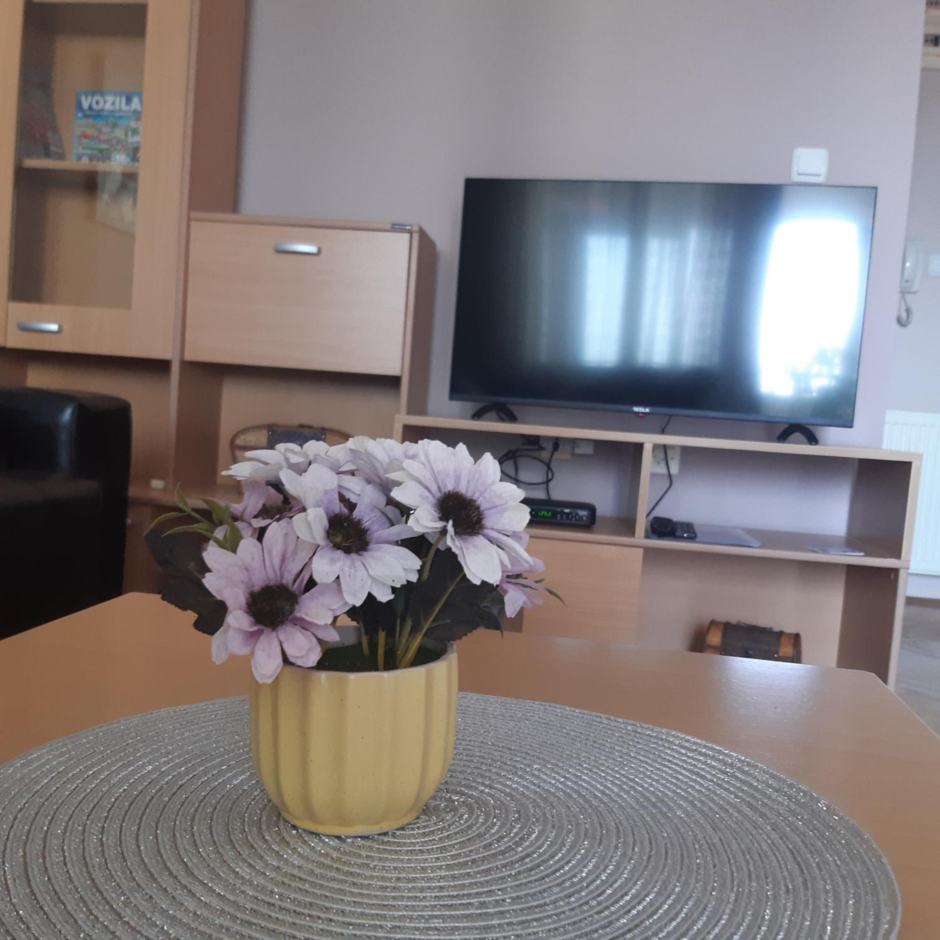 Apartman Marger view 4