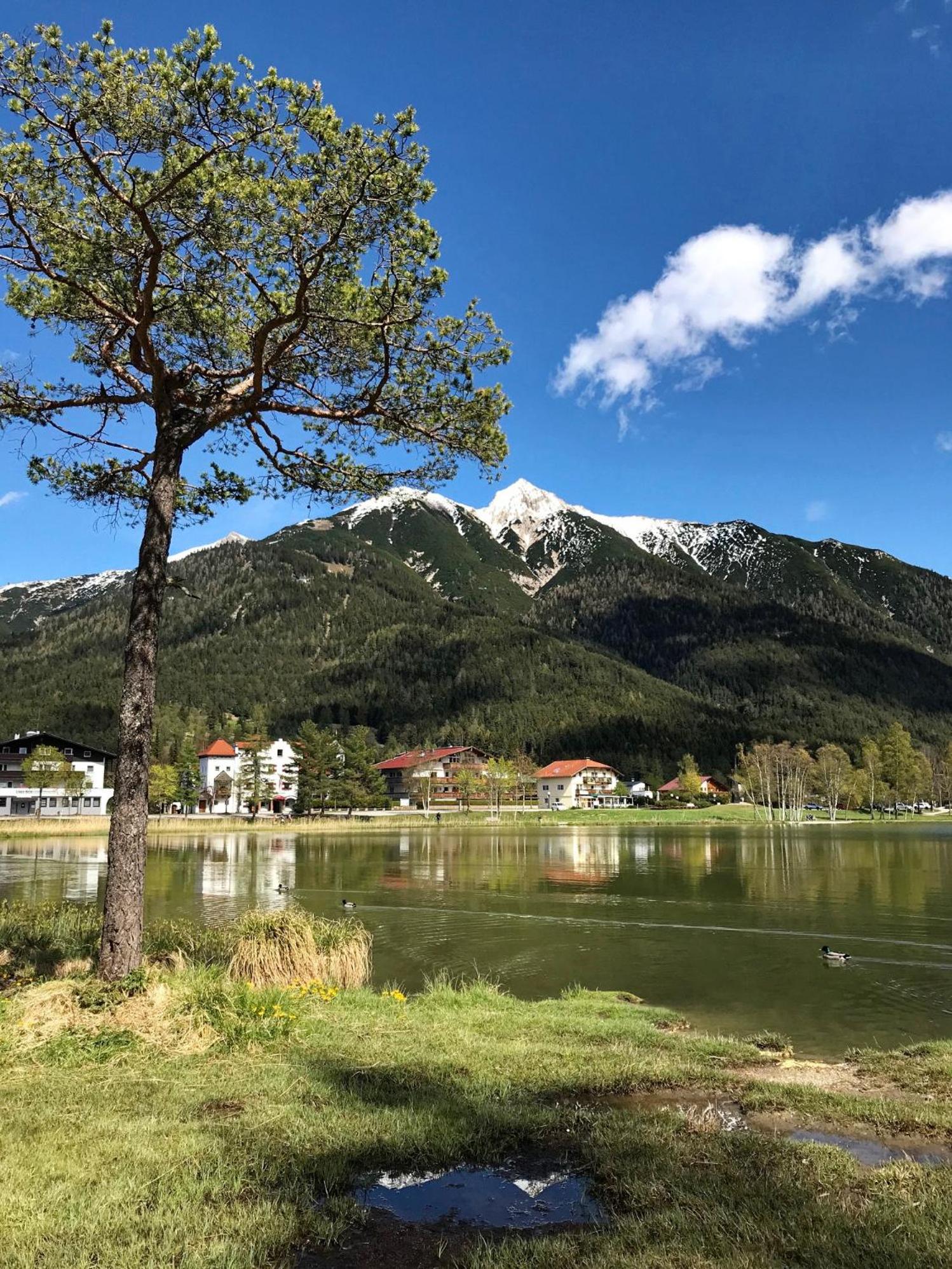 Bio Ferienwohnung am Wildsee in Seefeld mit E-Ladestation view 5