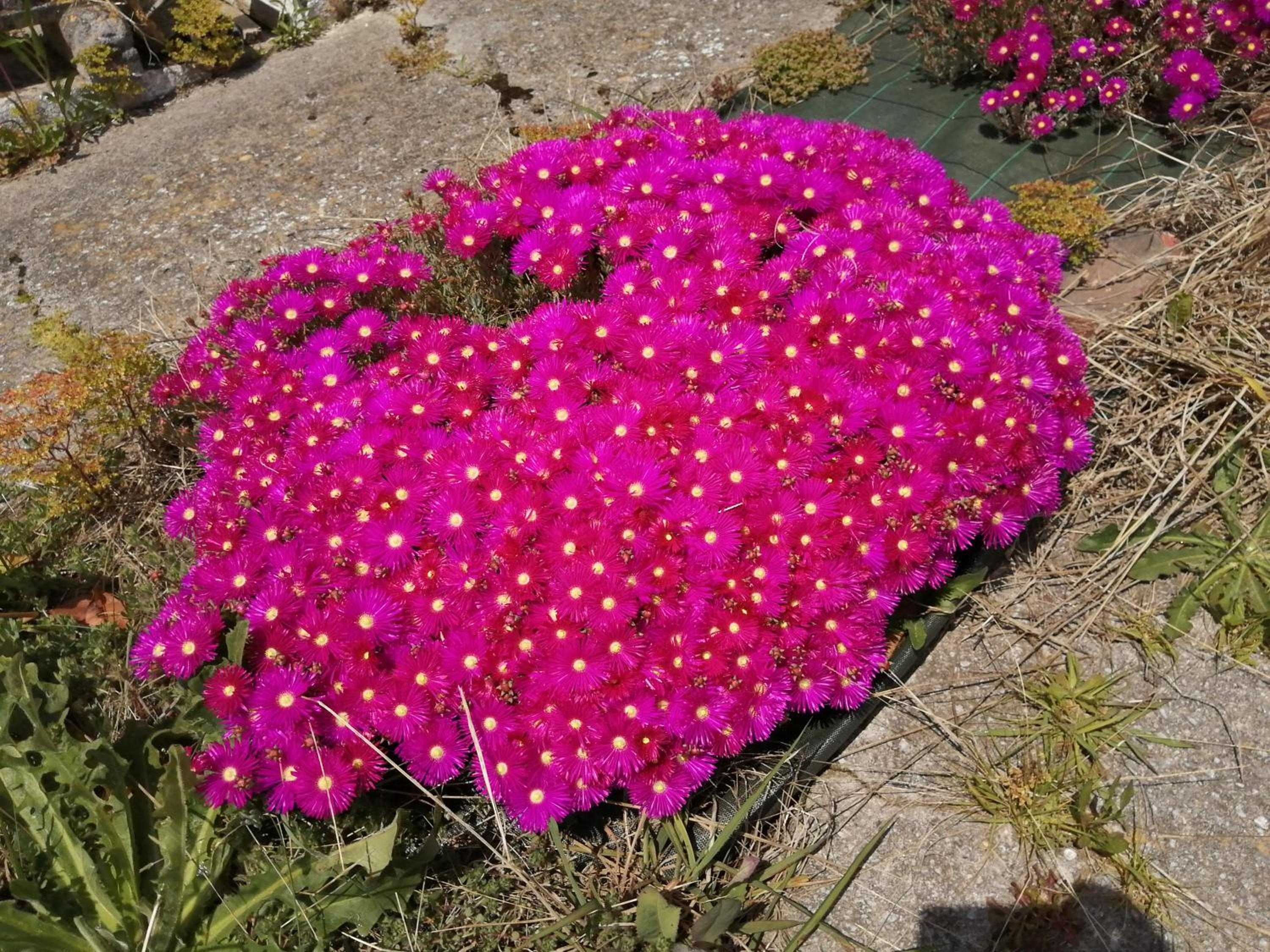 Photo 44