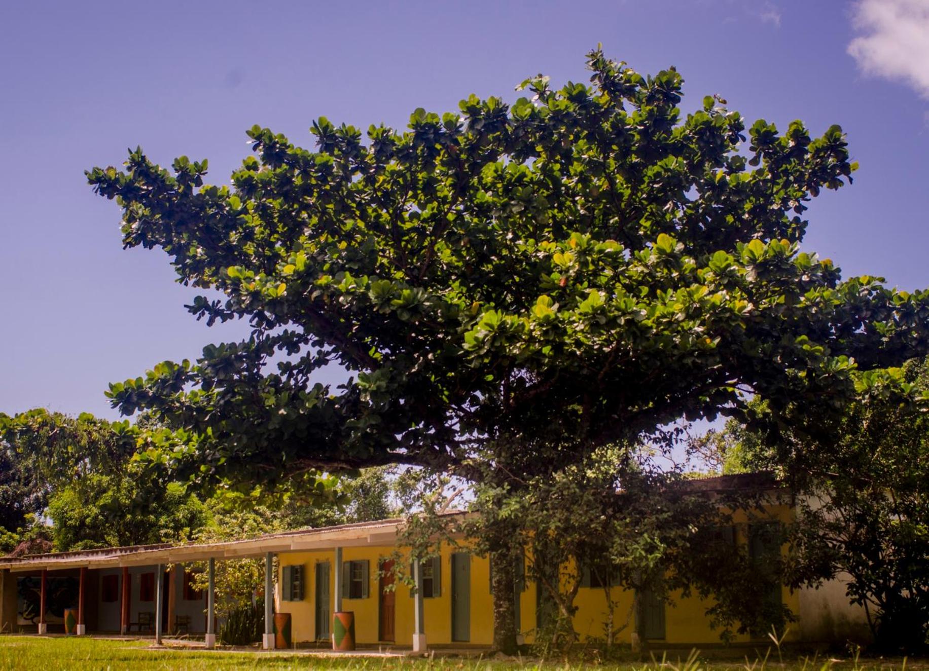 Namastê Pousada e Camping view 2