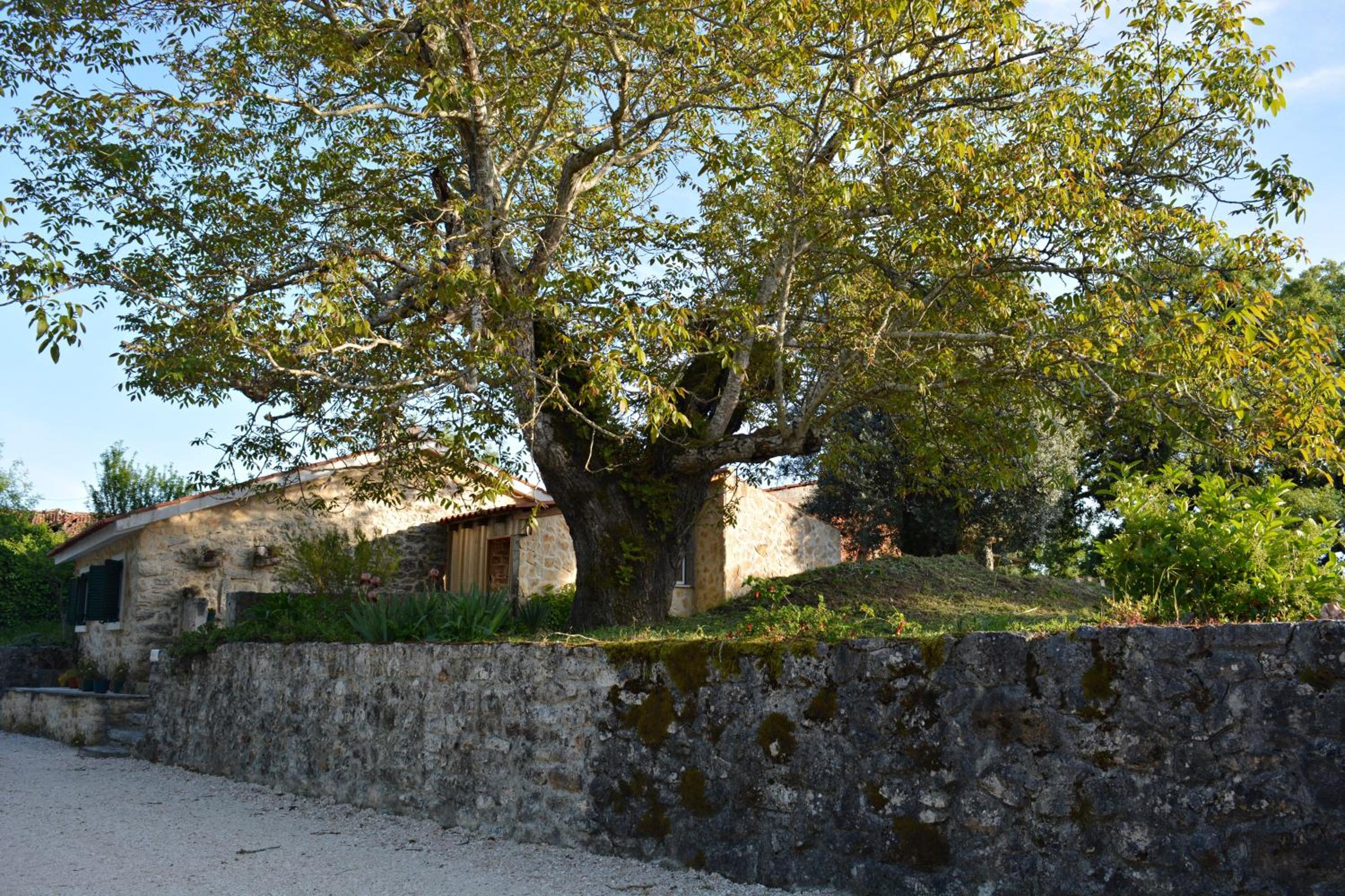 Casa da Pedra view 5