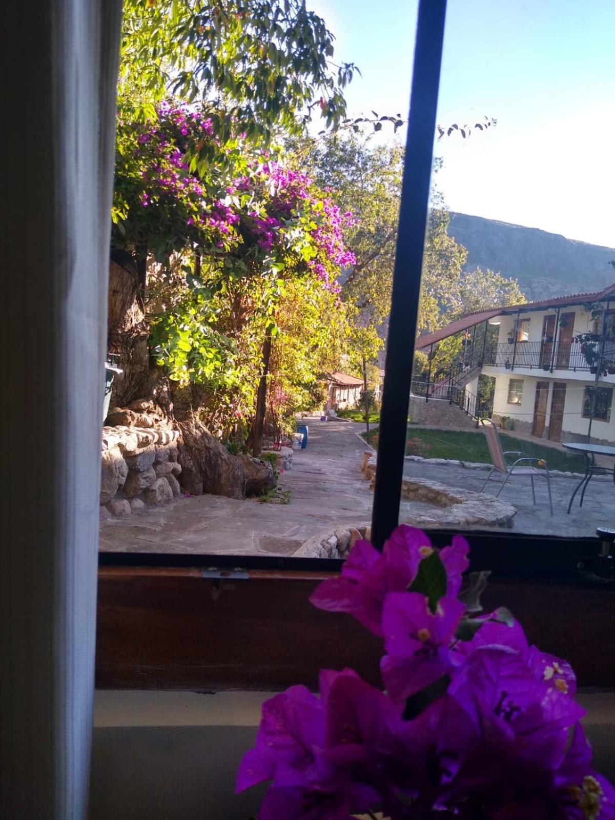 Photo 98