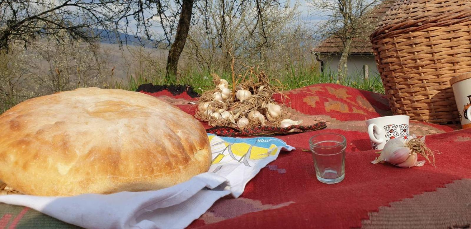 Stari dud Beserovina